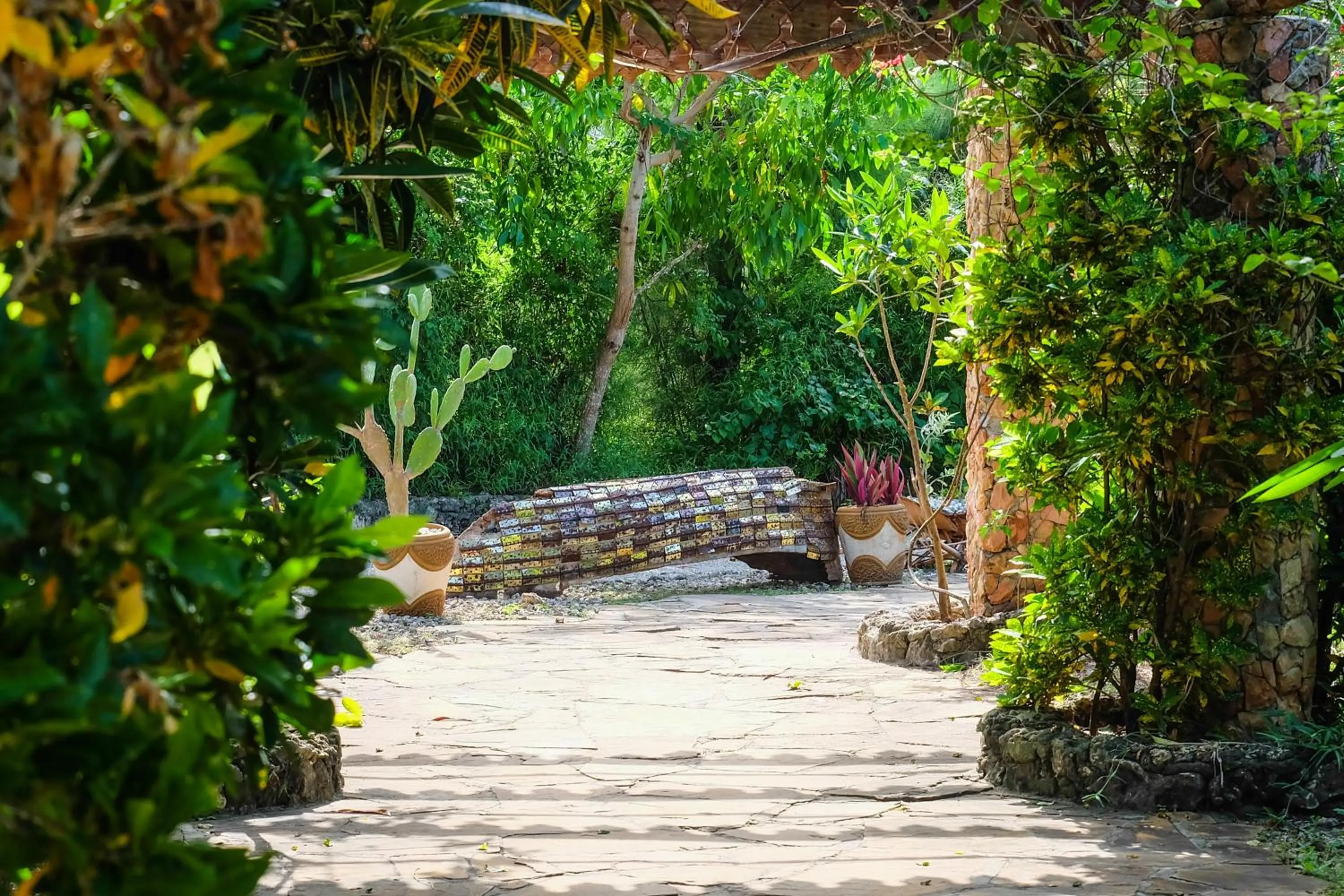 Natural landscape in Seasons Lodge Zanzibar