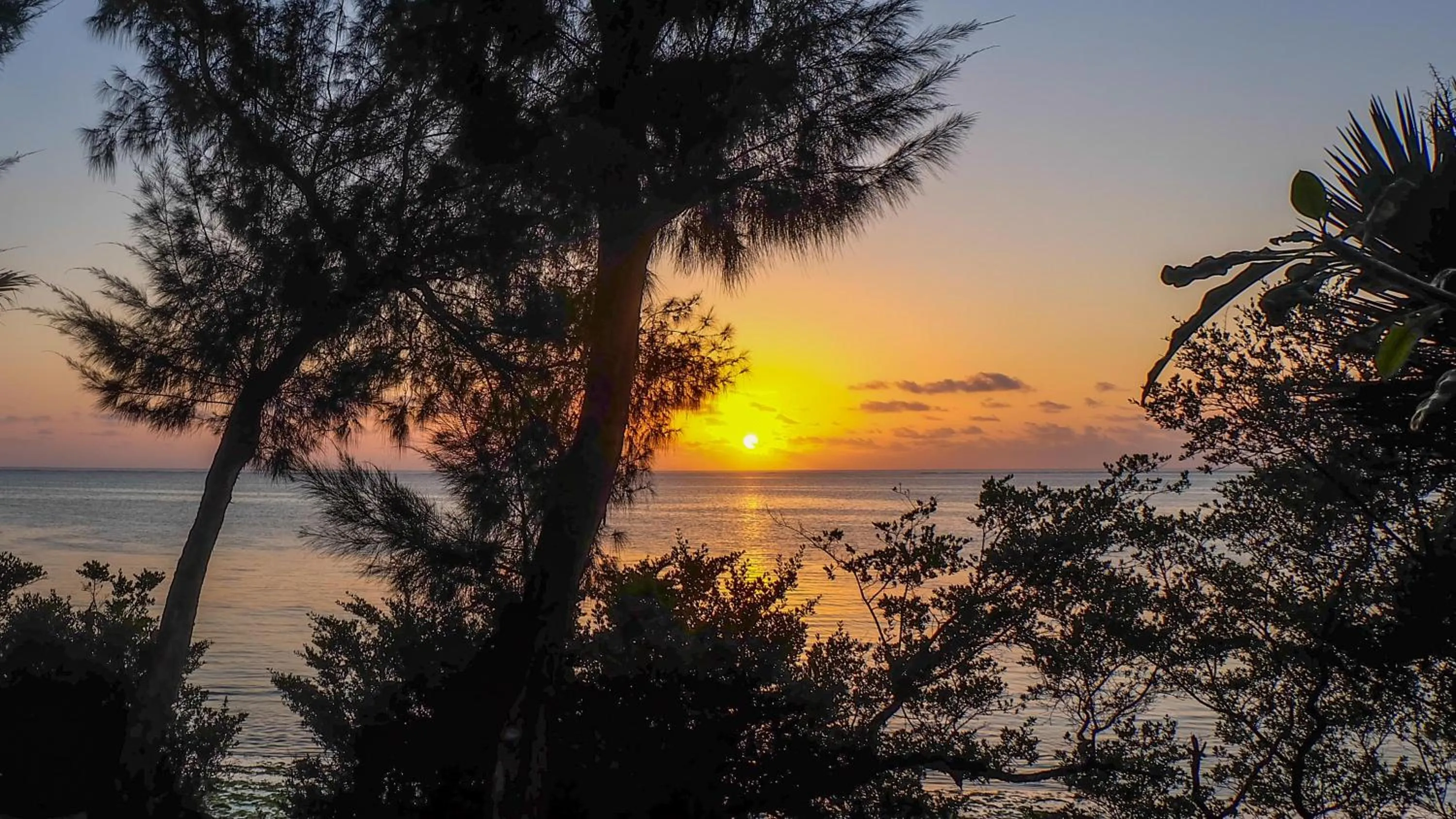 Natural landscape in Seasons Lodge Zanzibar