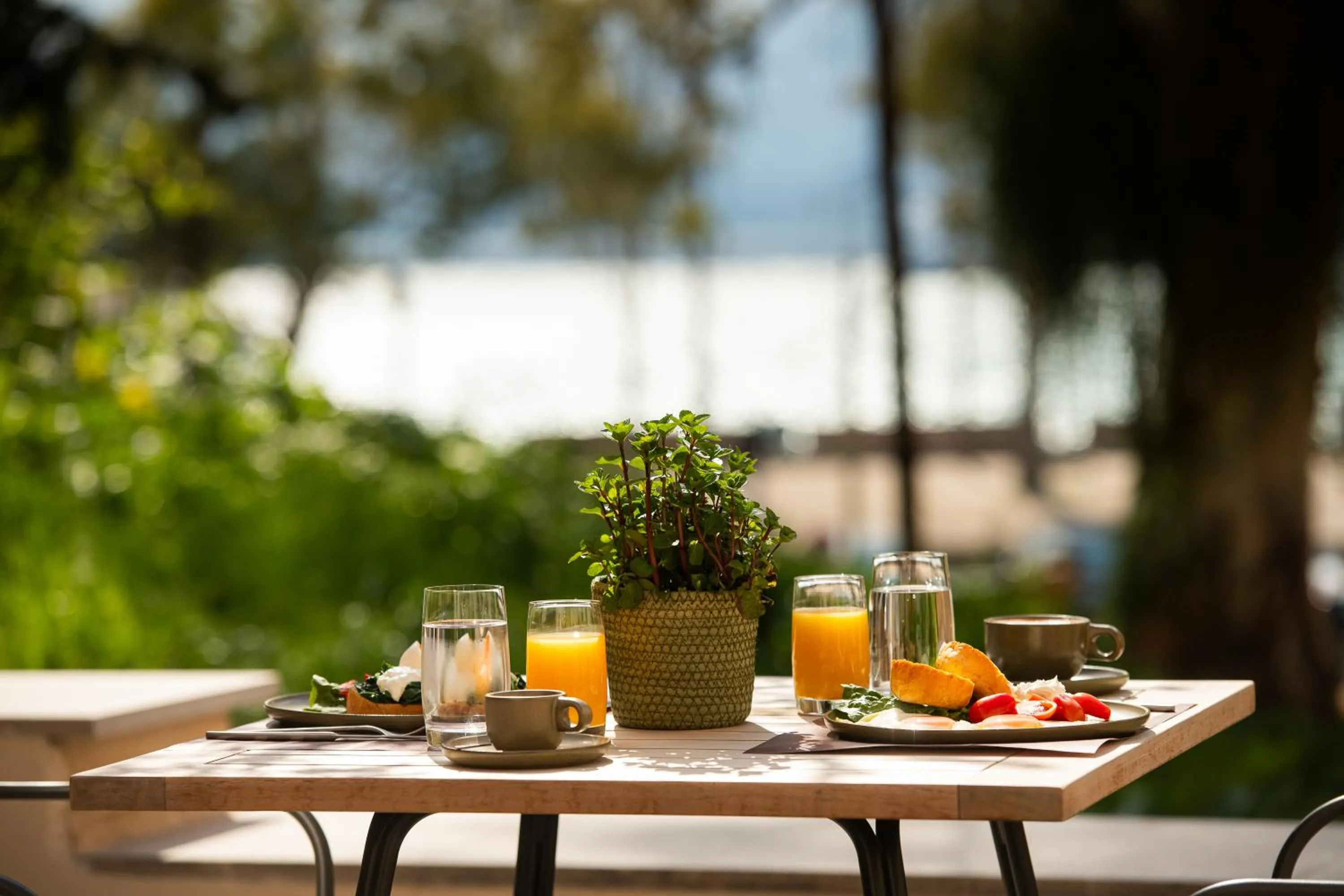 Food and drinks in The K Nest Hotel Nafplio