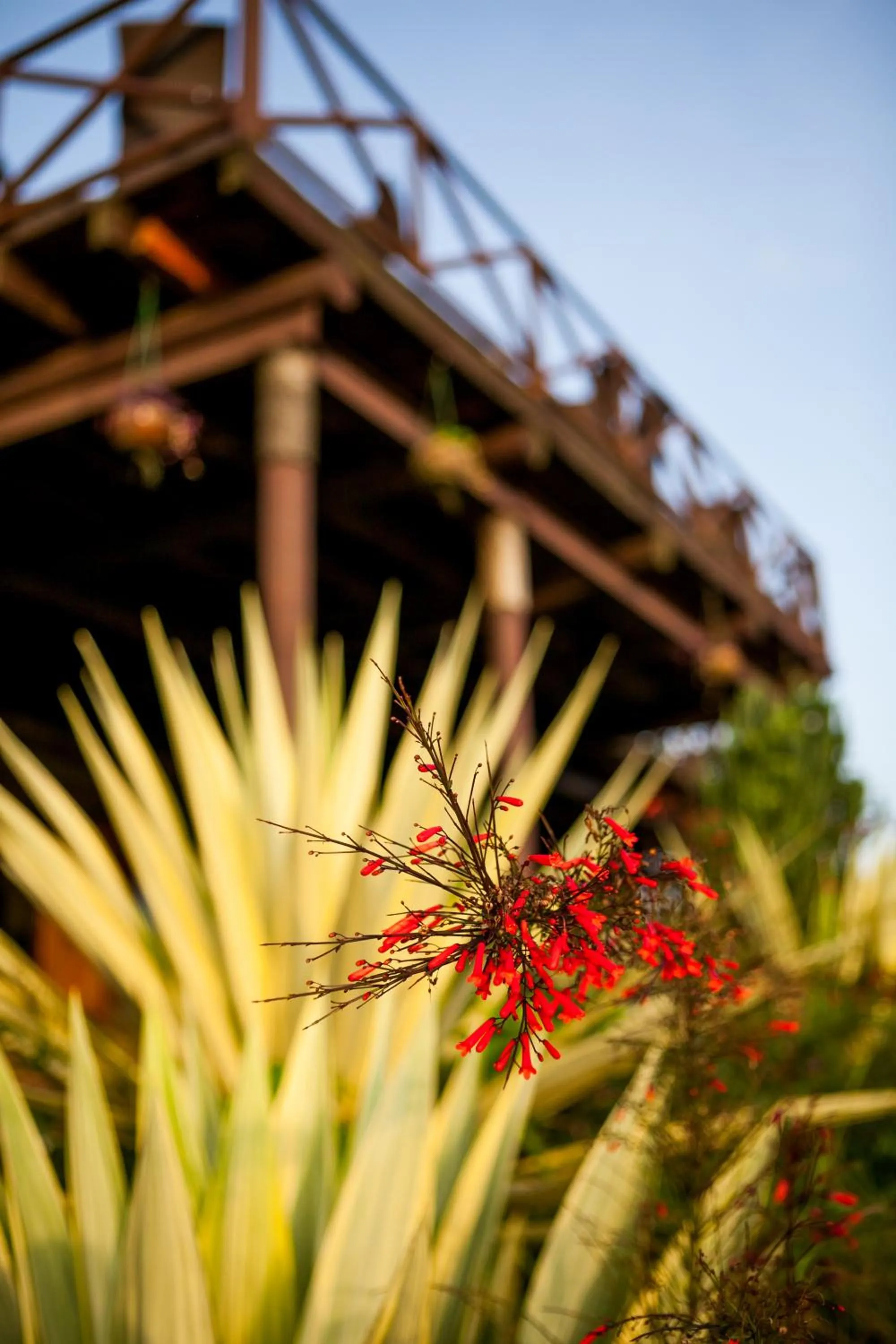 Spring in Cassia Lodge