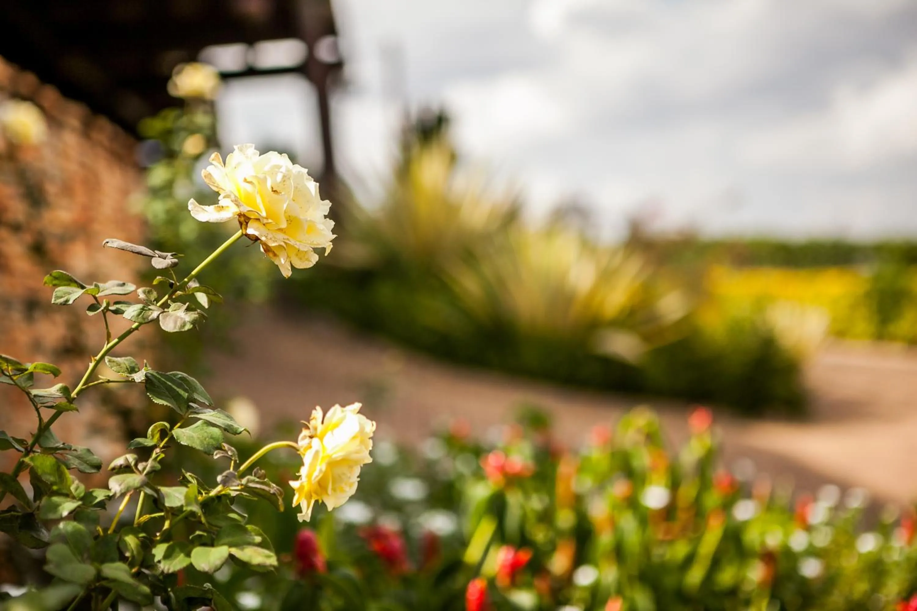 Spring in Cassia Lodge