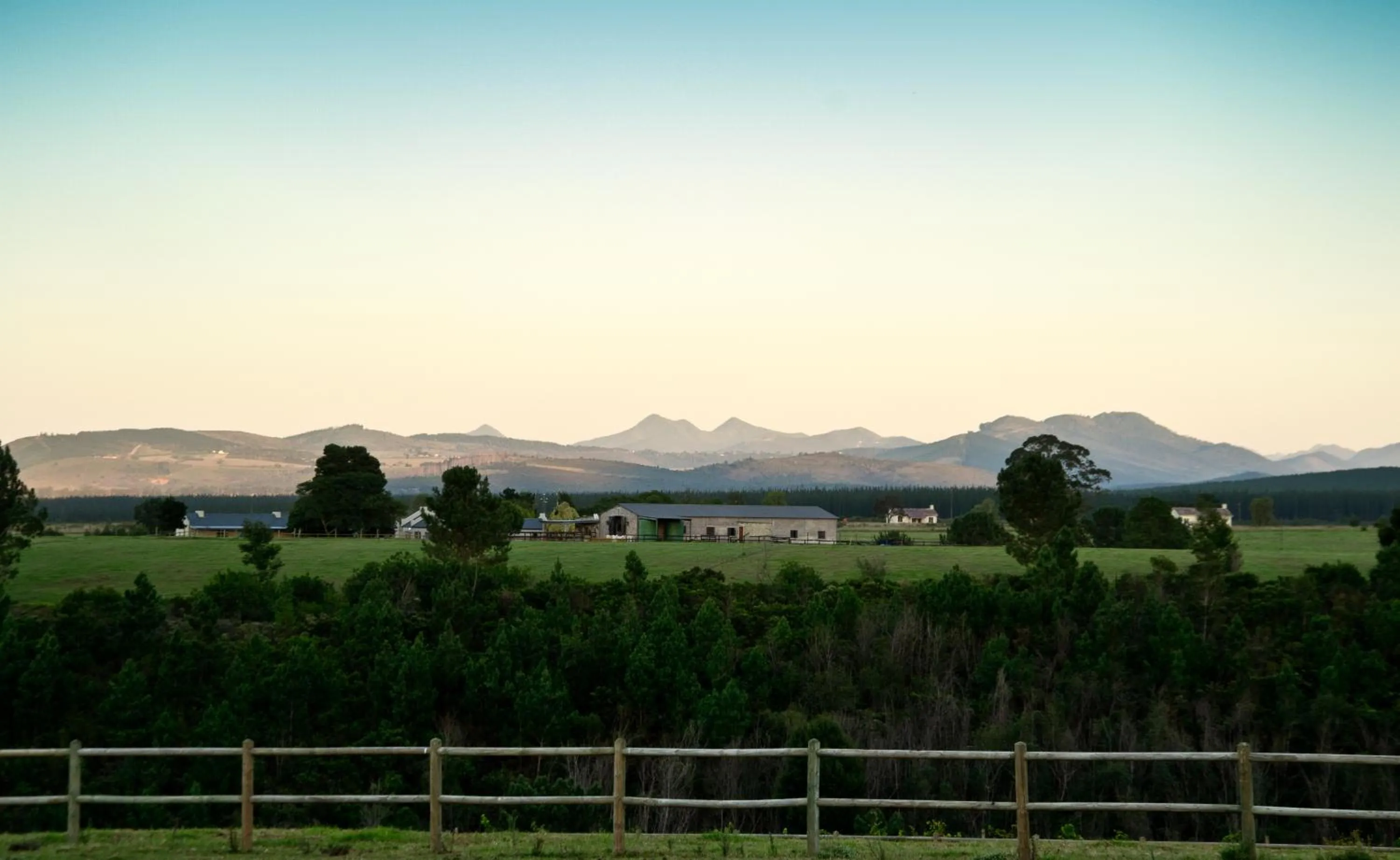 Kay and Monty Vineyard View