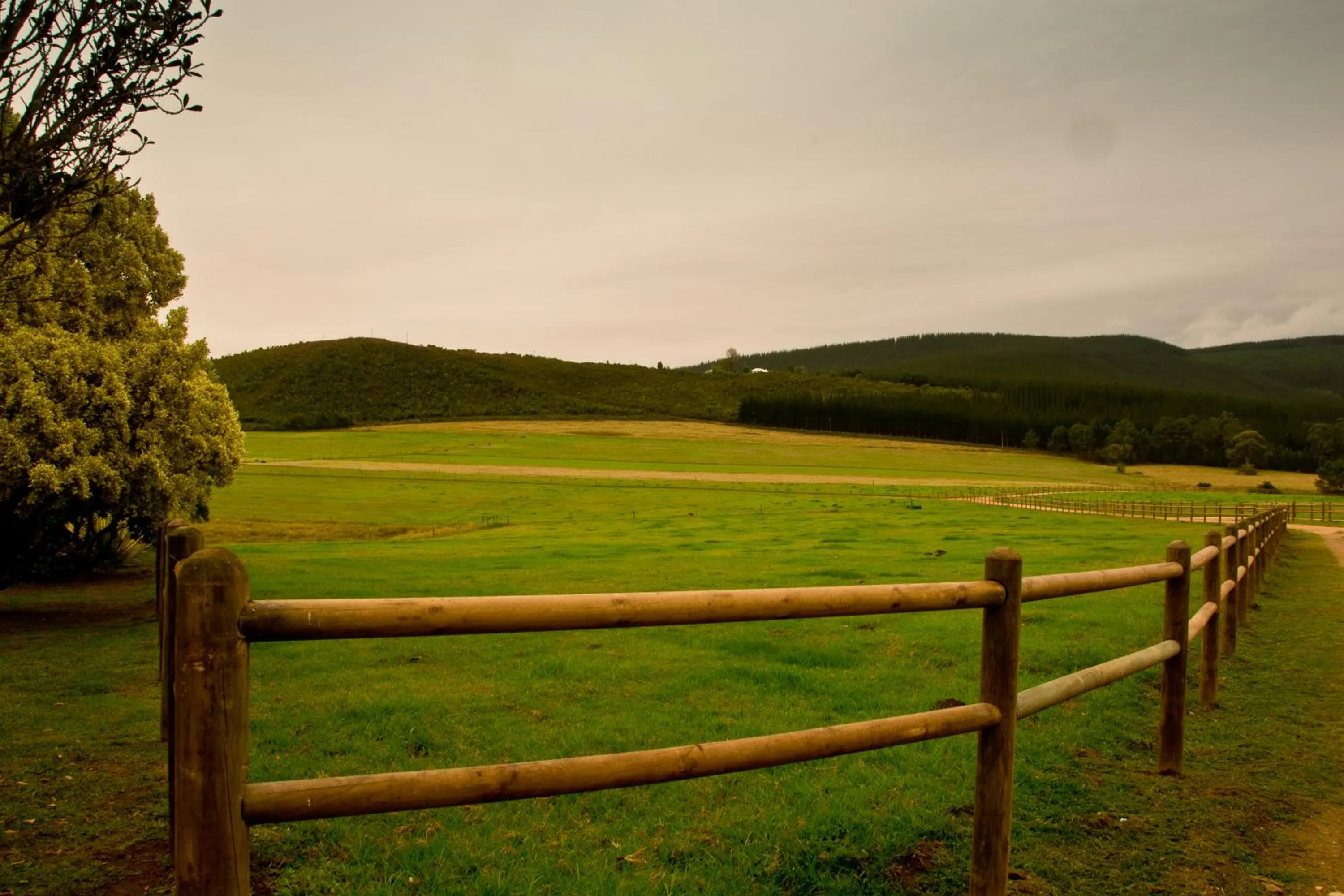 Kay and Monty Vineyard View