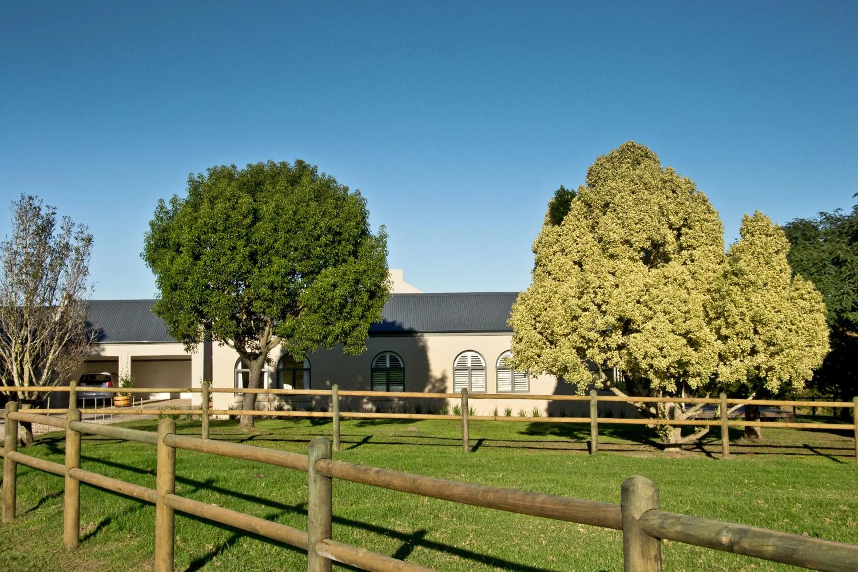 Natural landscape in Kay and Monty Vineyard View