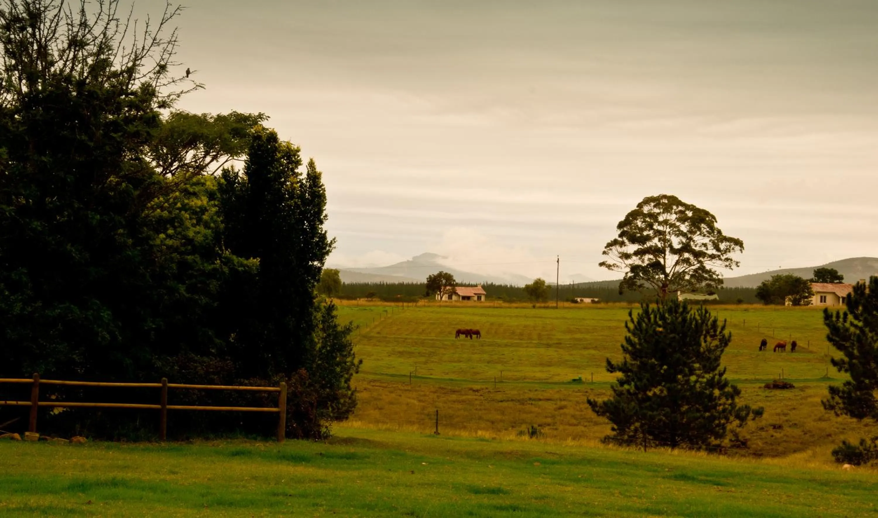 Kay and Monty Vineyard View