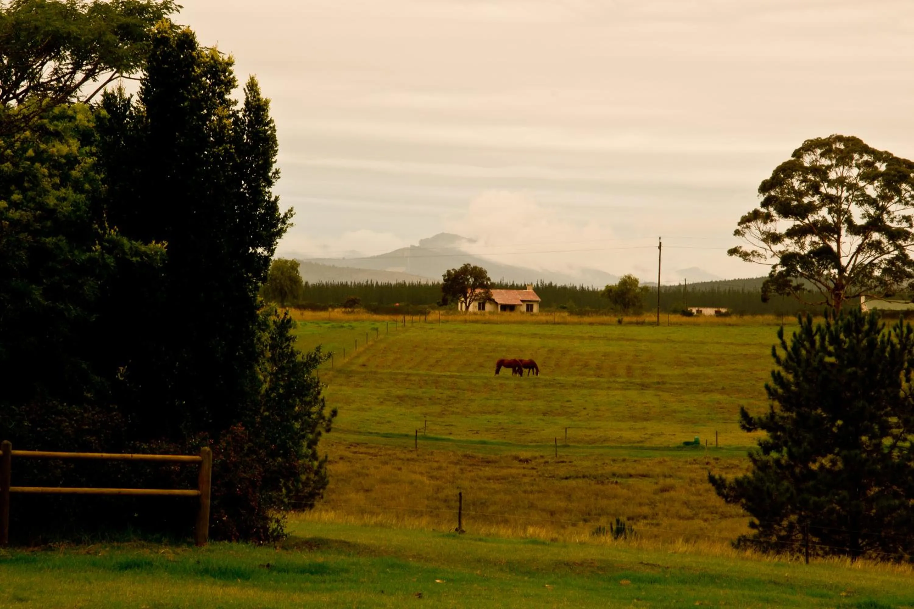 Kay and Monty Vineyard View