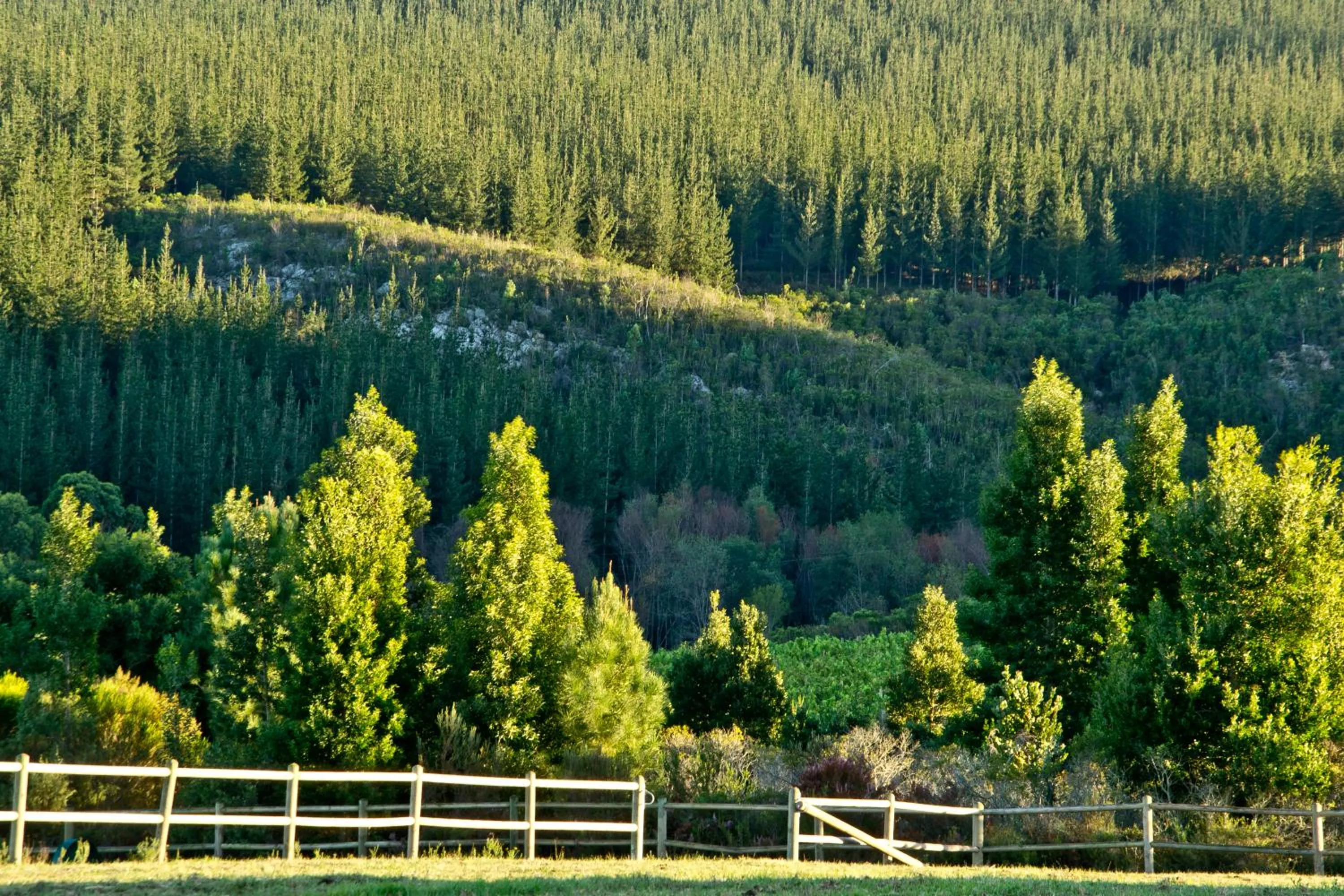 Kay and Monty Vineyard View