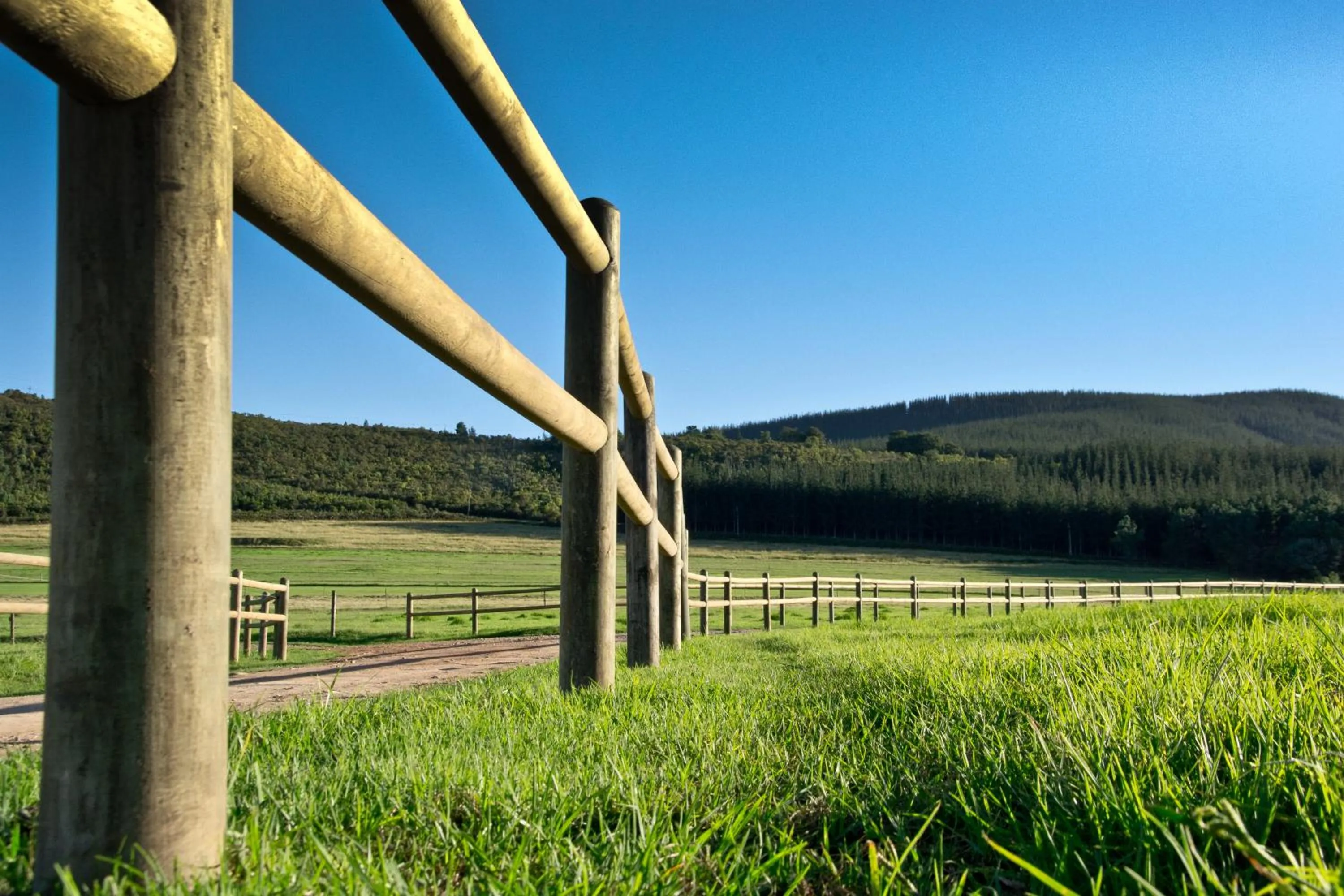 Kay and Monty Vineyard View