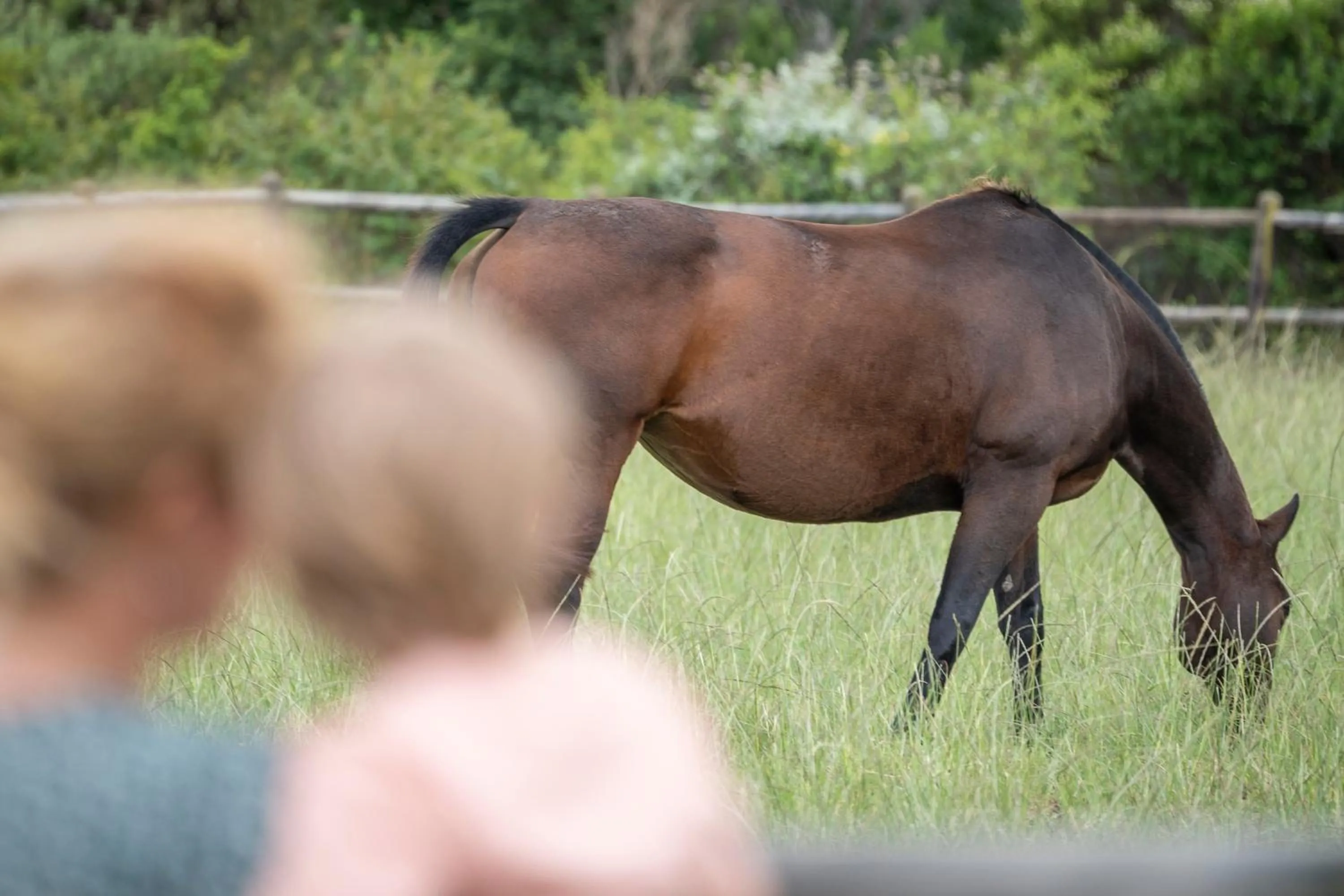Kay and Monty Vineyard View