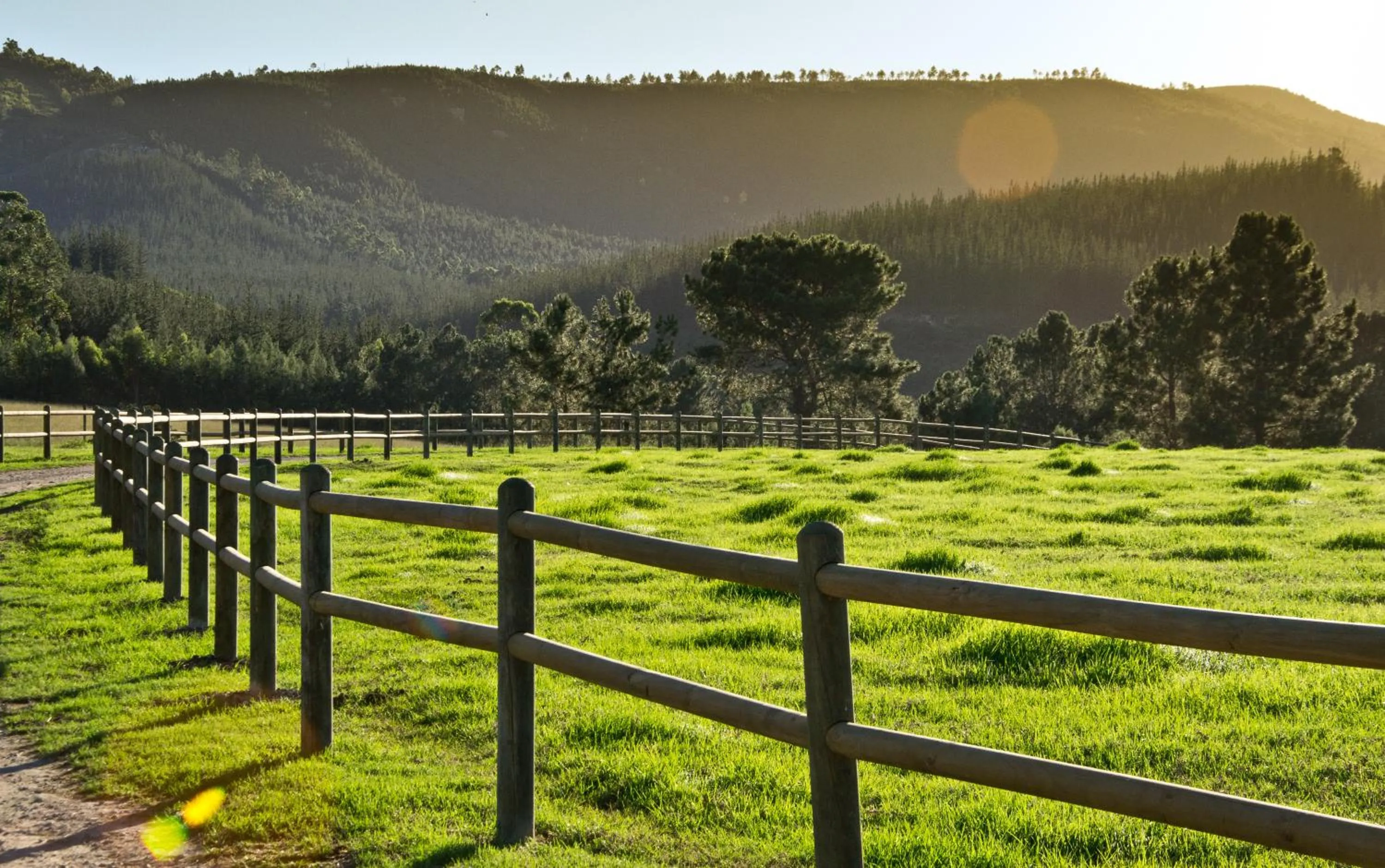 Kay and Monty Vineyard View