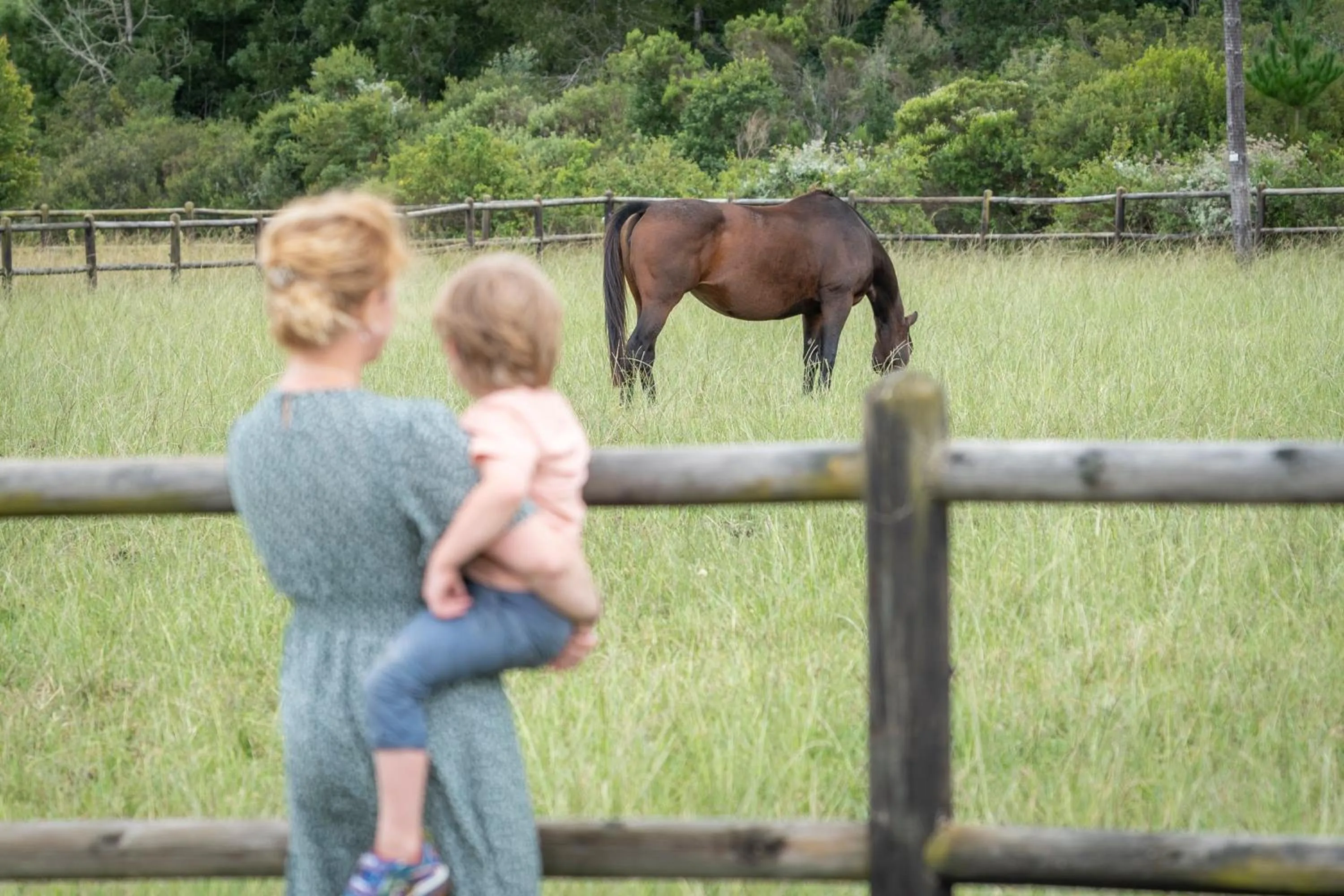 Kay and Monty Vineyard View