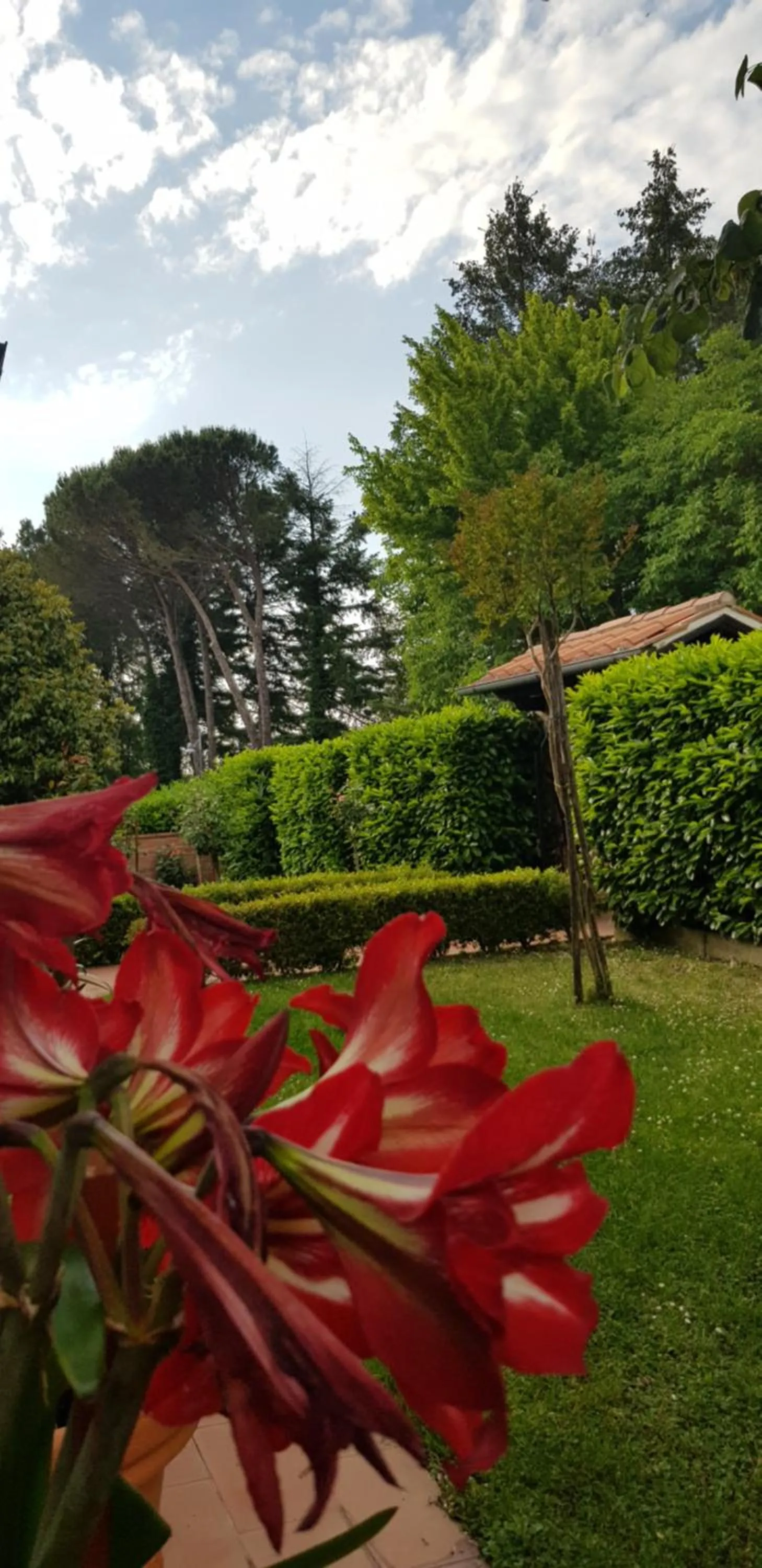 Natural landscape in La Casa di Gigliola