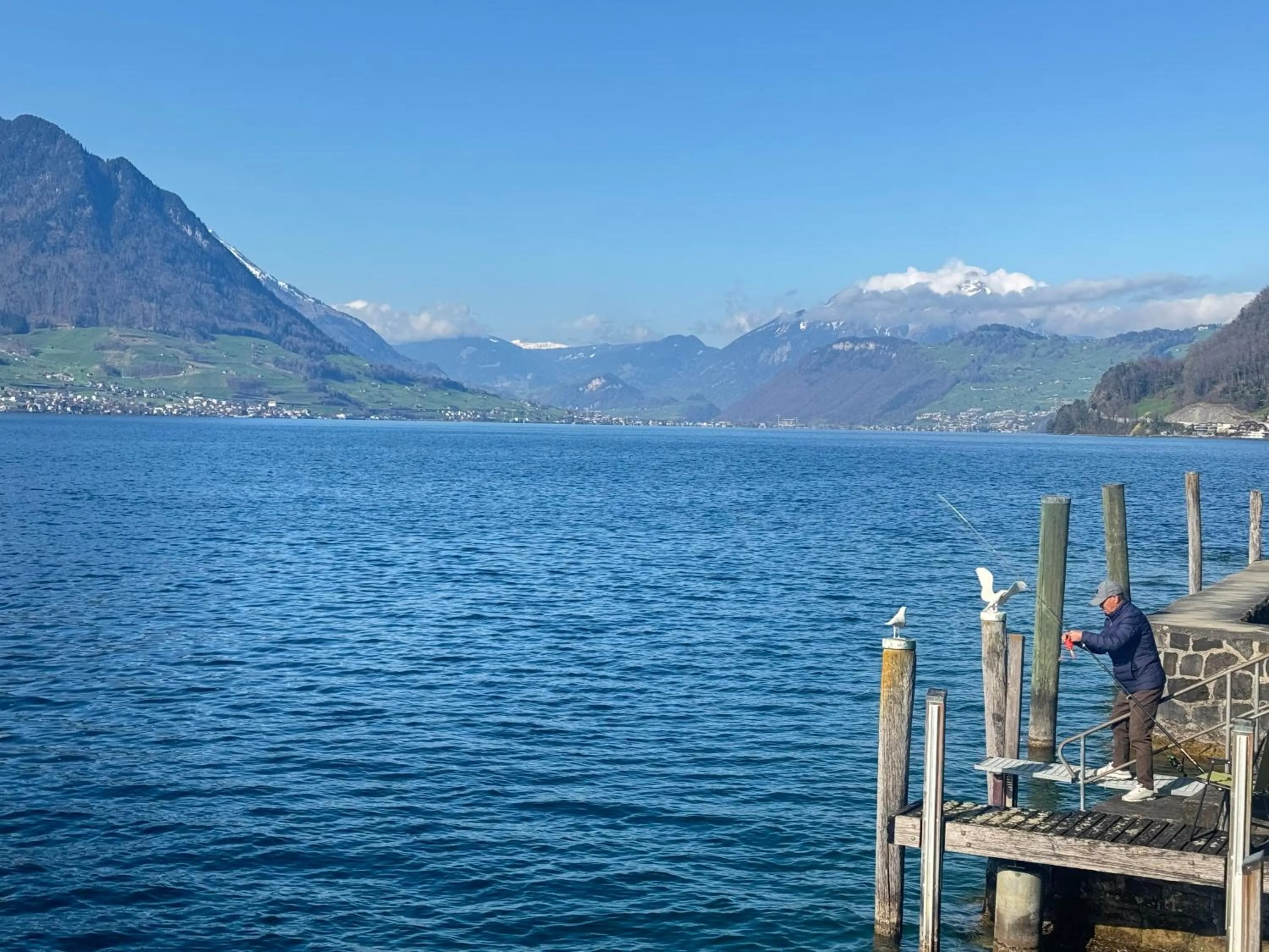 Natural landscape in Seehotel Schwert