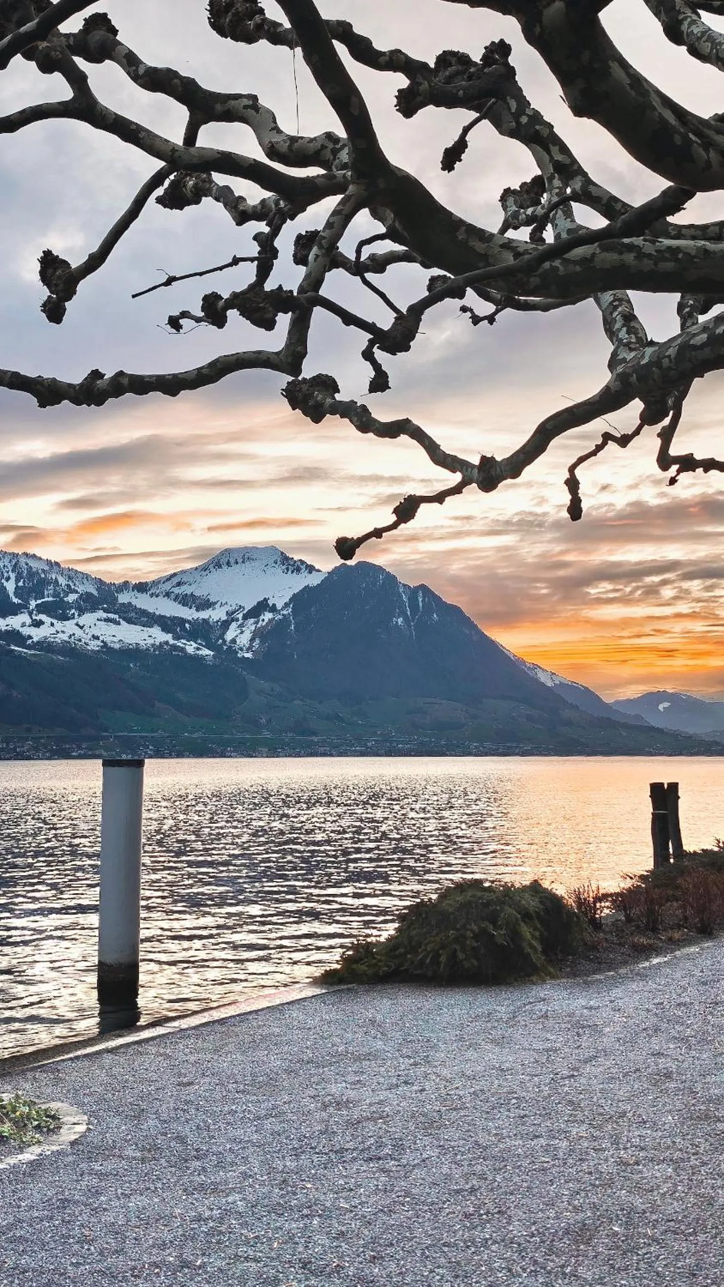 Natural landscape in Seehotel Schwert