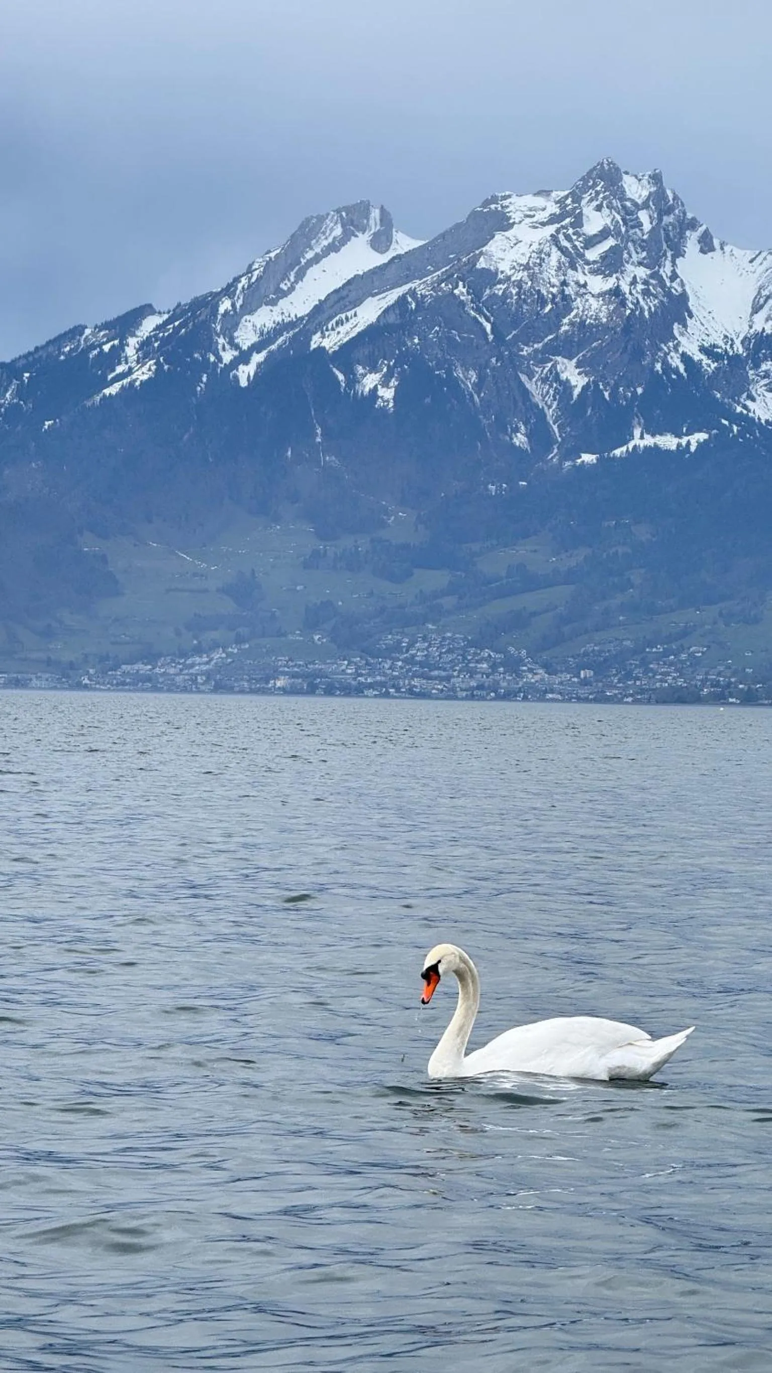 Day in Seehotel Schwert