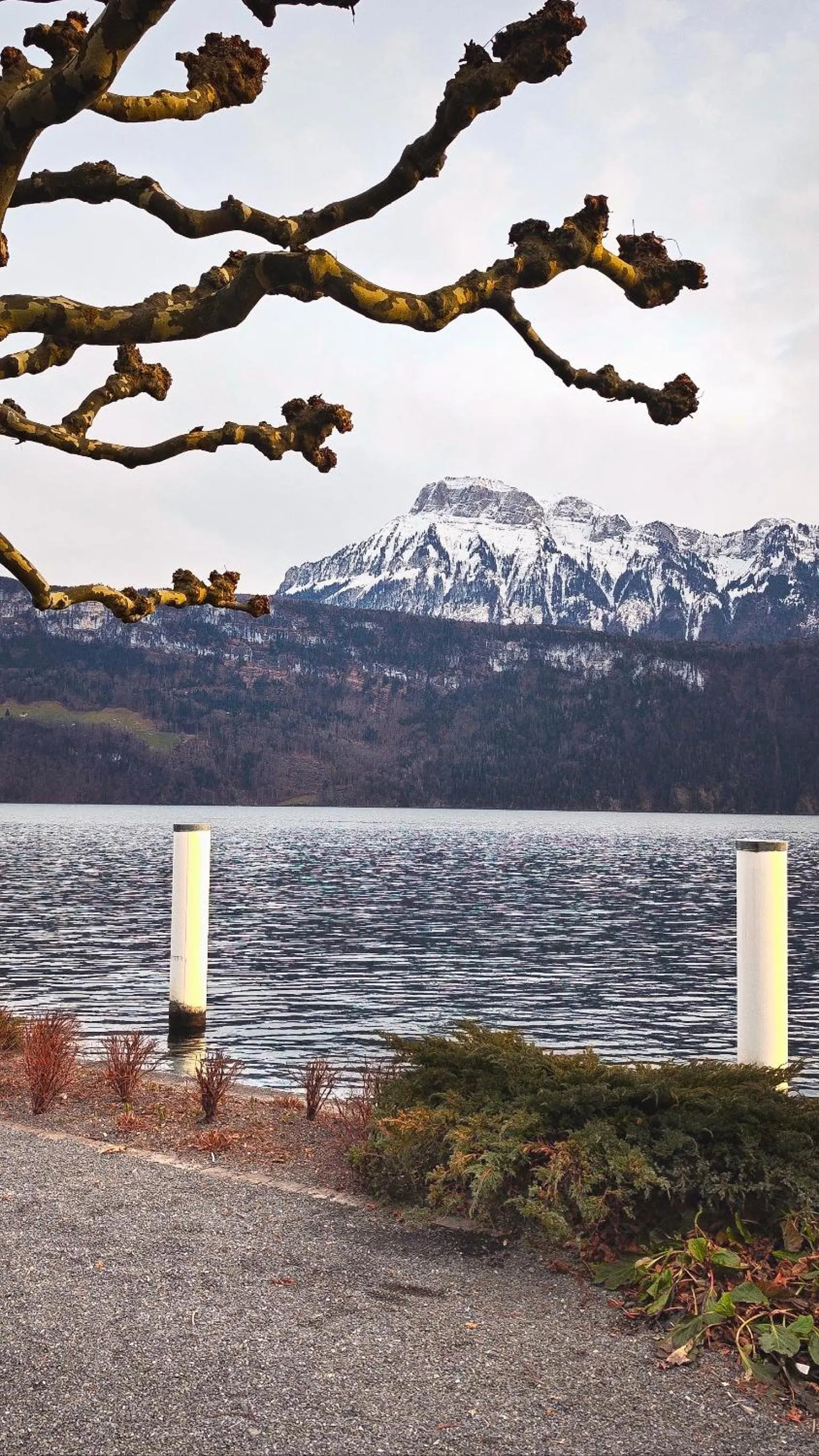 Natural landscape in Seehotel Schwert