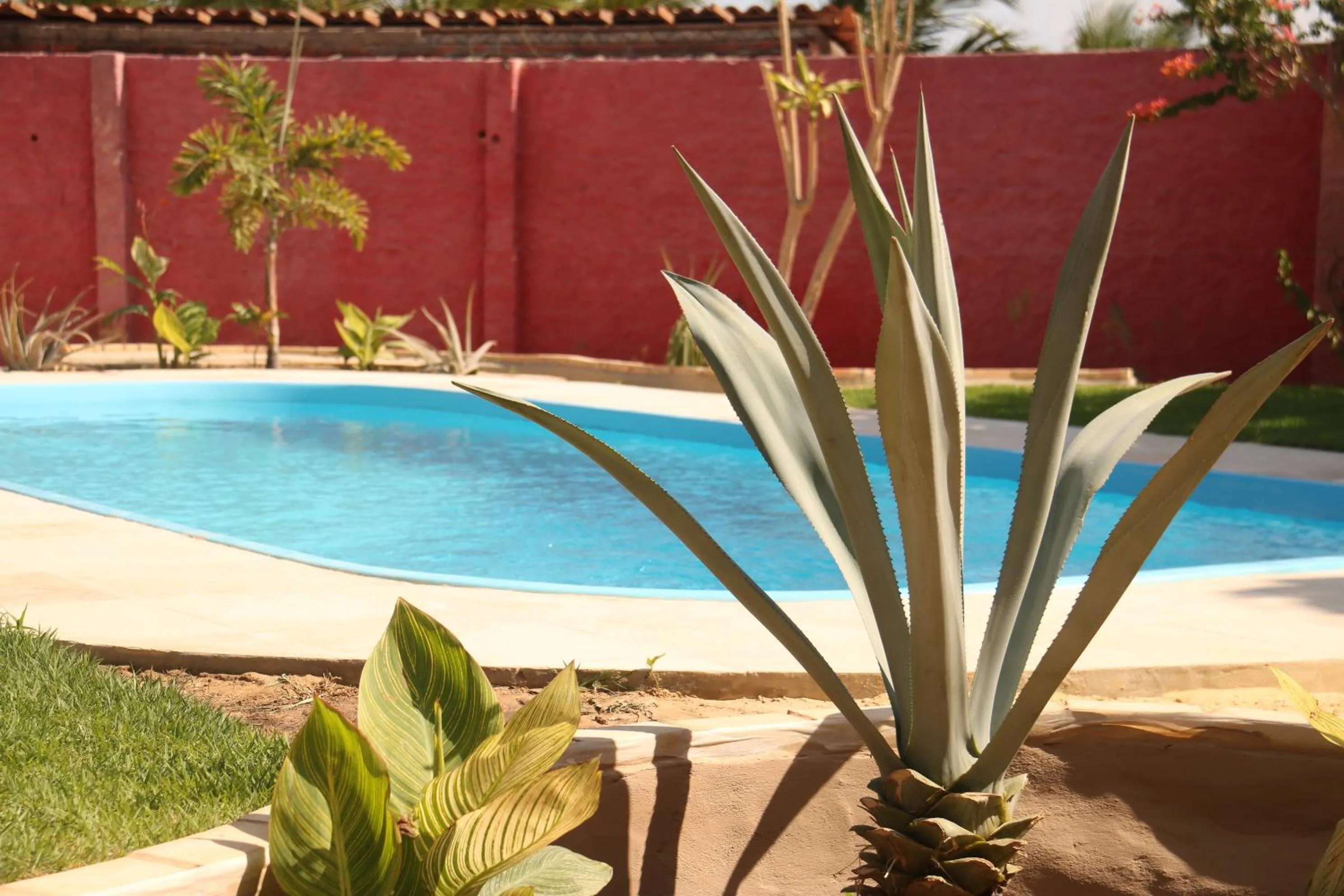 Casa do Jardim- Villa Botanica