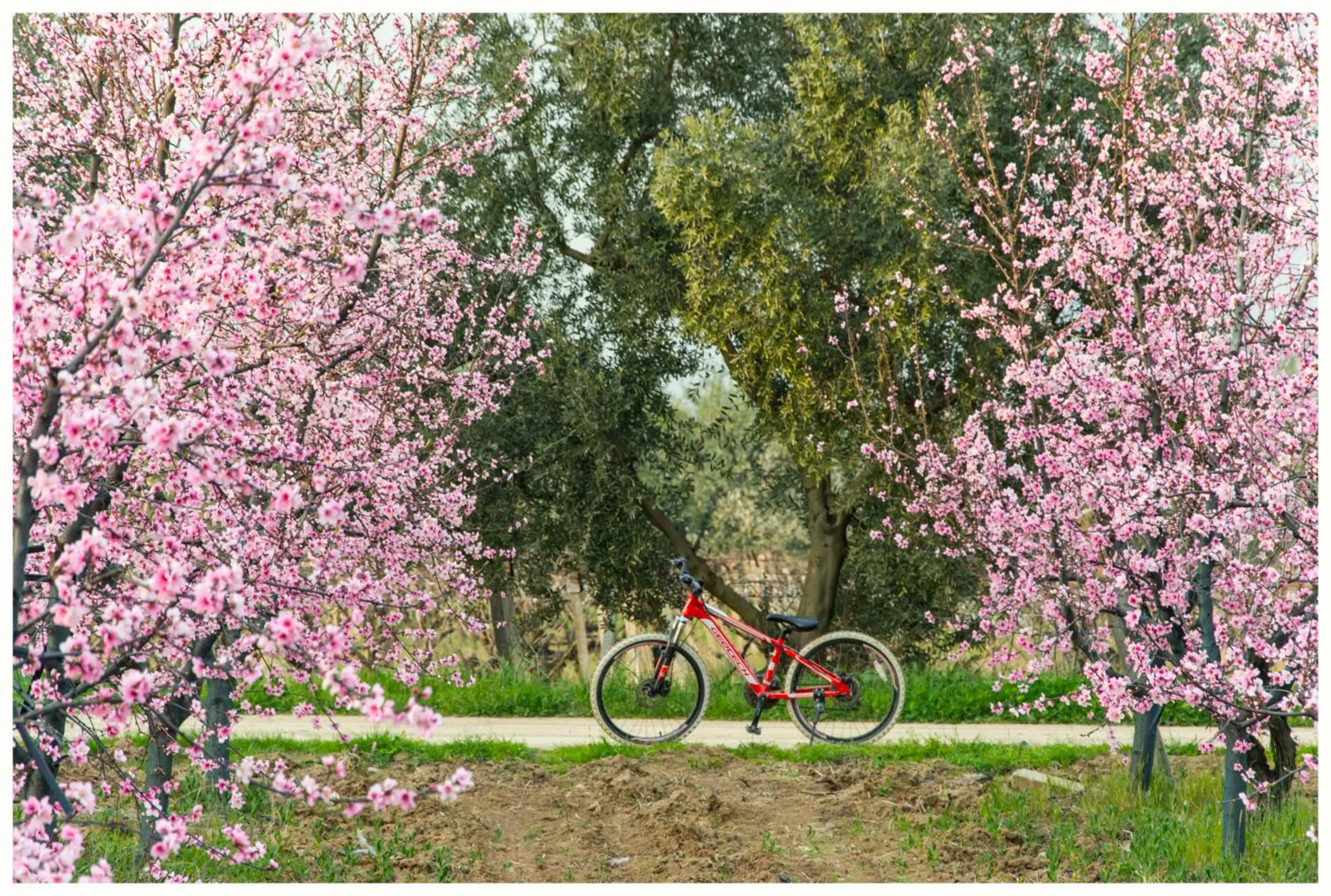 Cycling in İznik Seyir Otel