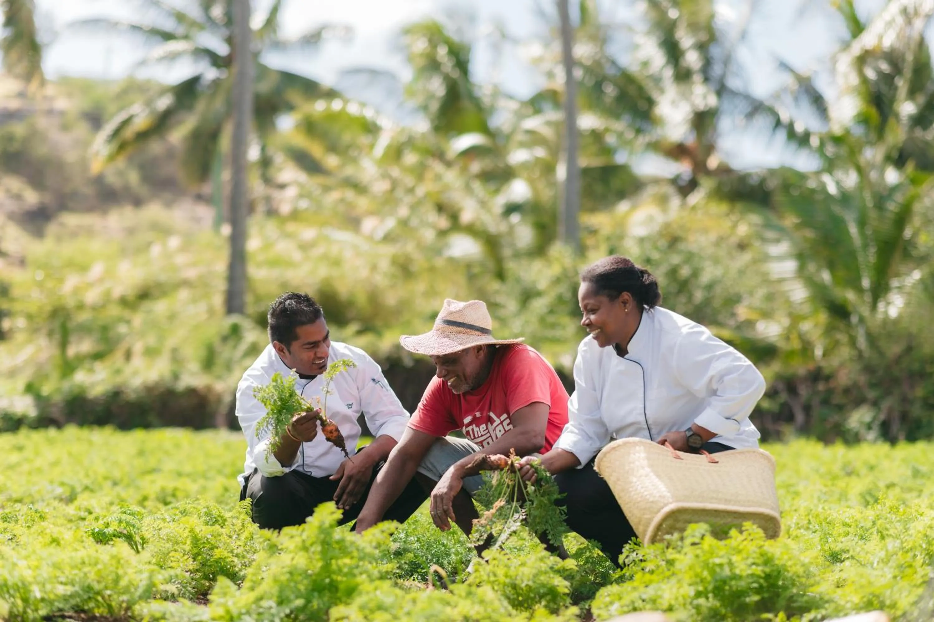 Day in Cotton Bay Resort & Spa