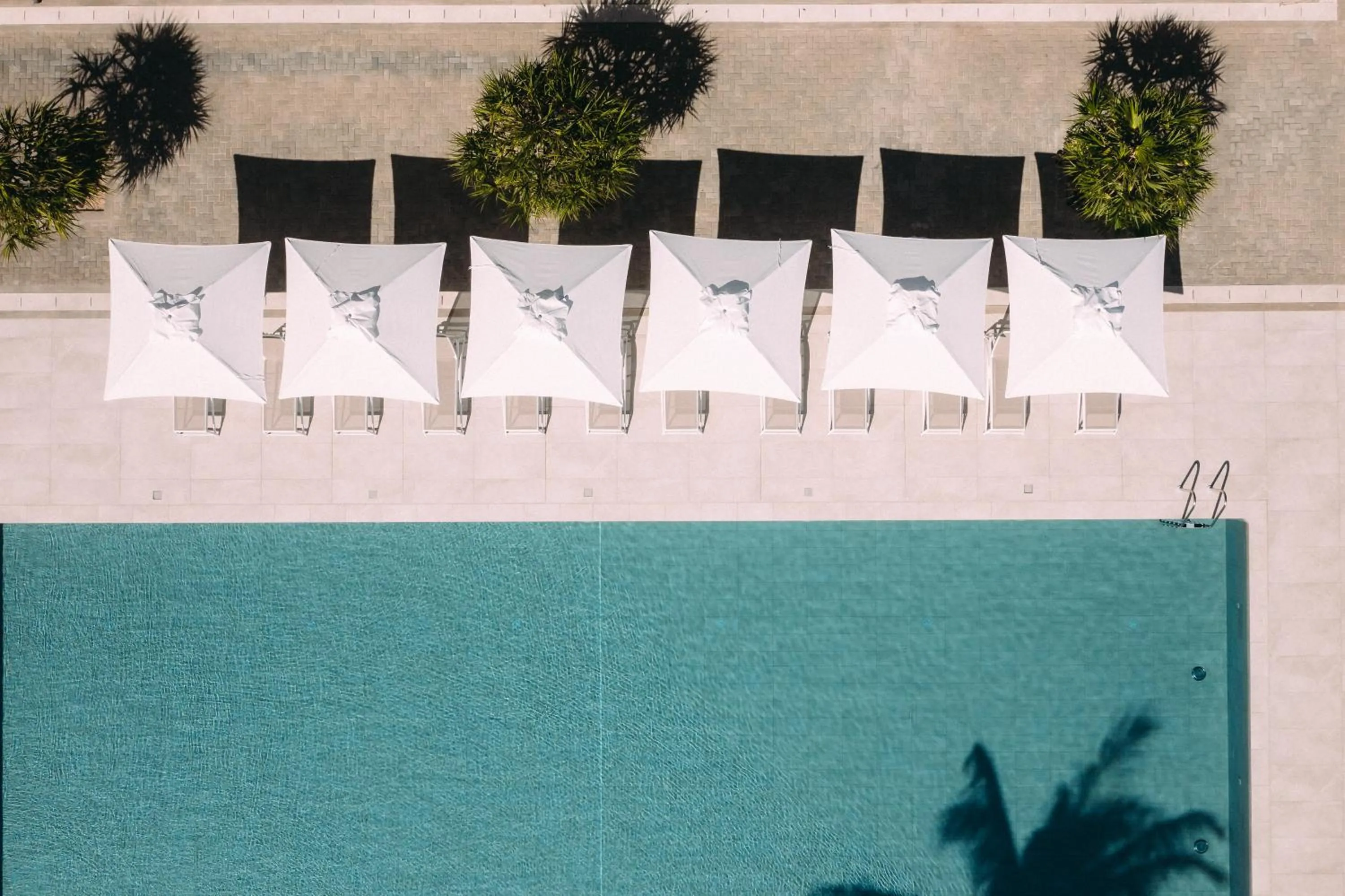 Day in Cotton Bay Resort & Spa