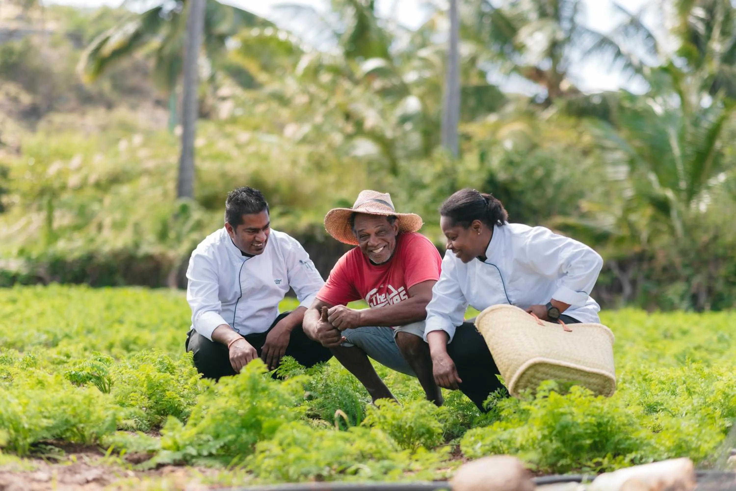 Day in Cotton Bay Resort & Spa