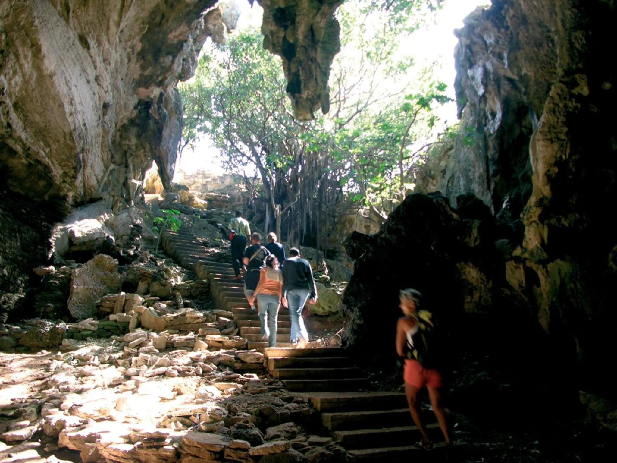 Natural landscape in Cotton Bay Resort & Spa