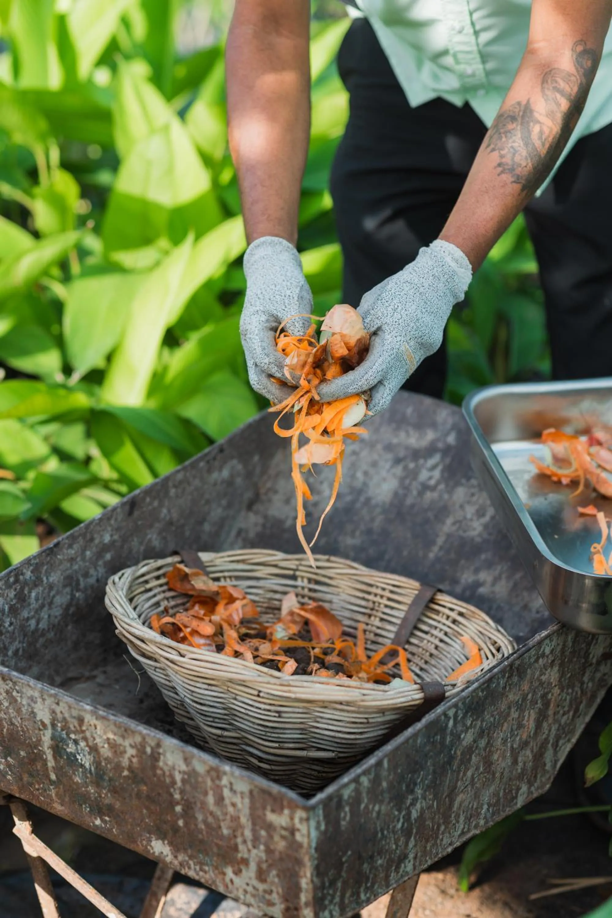 Day in Cotton Bay Resort & Spa