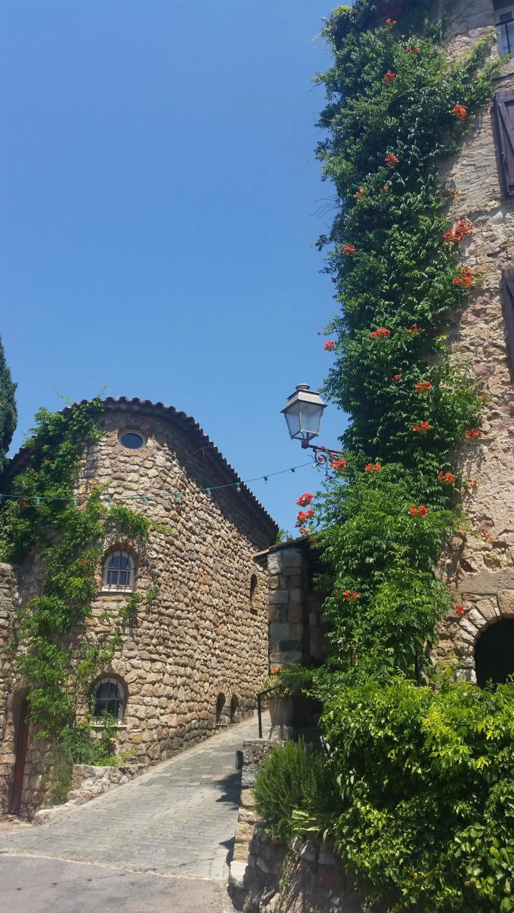 Neighbourhood in Villa Arca