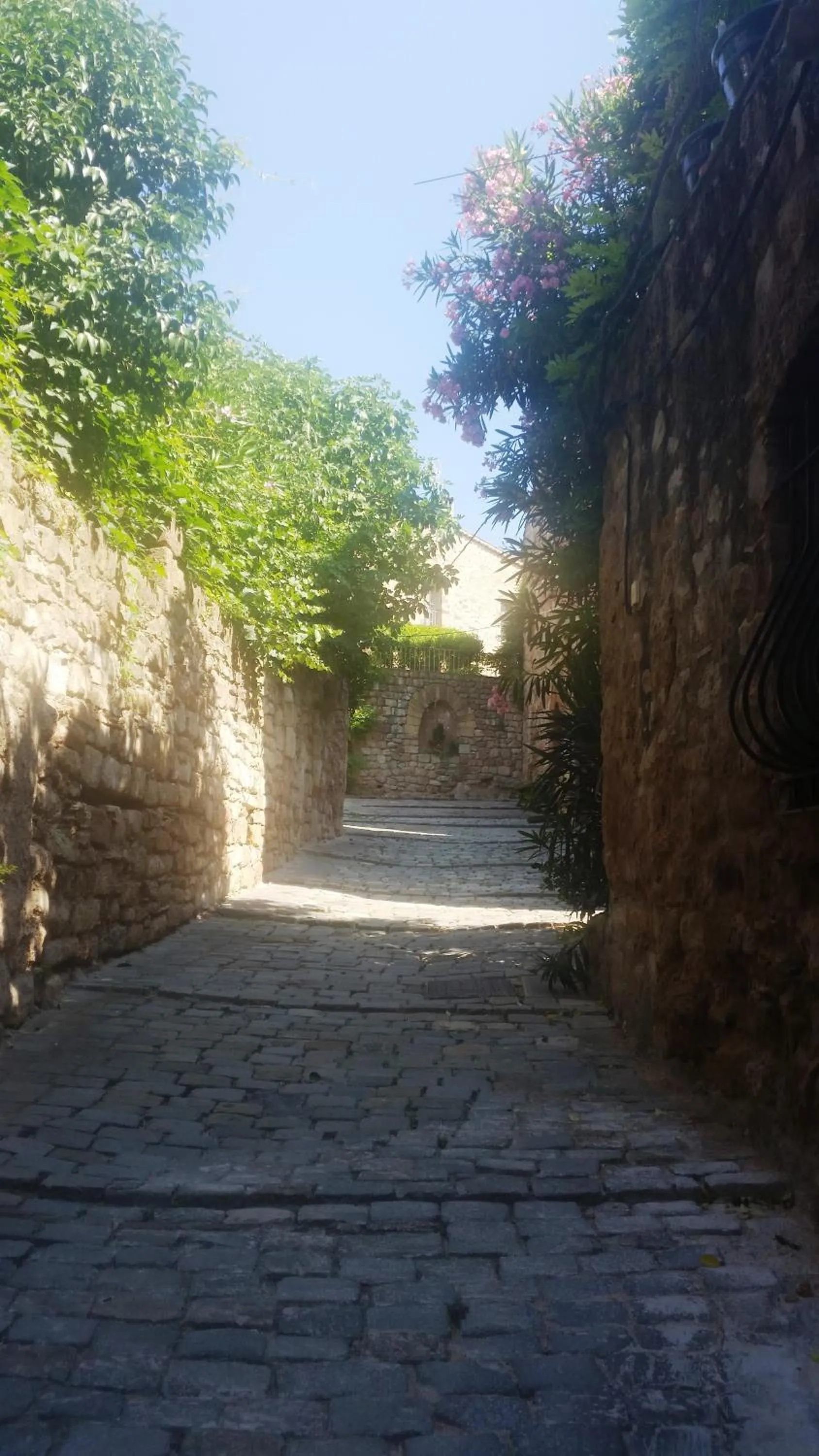 Neighbourhood in Villa Arca