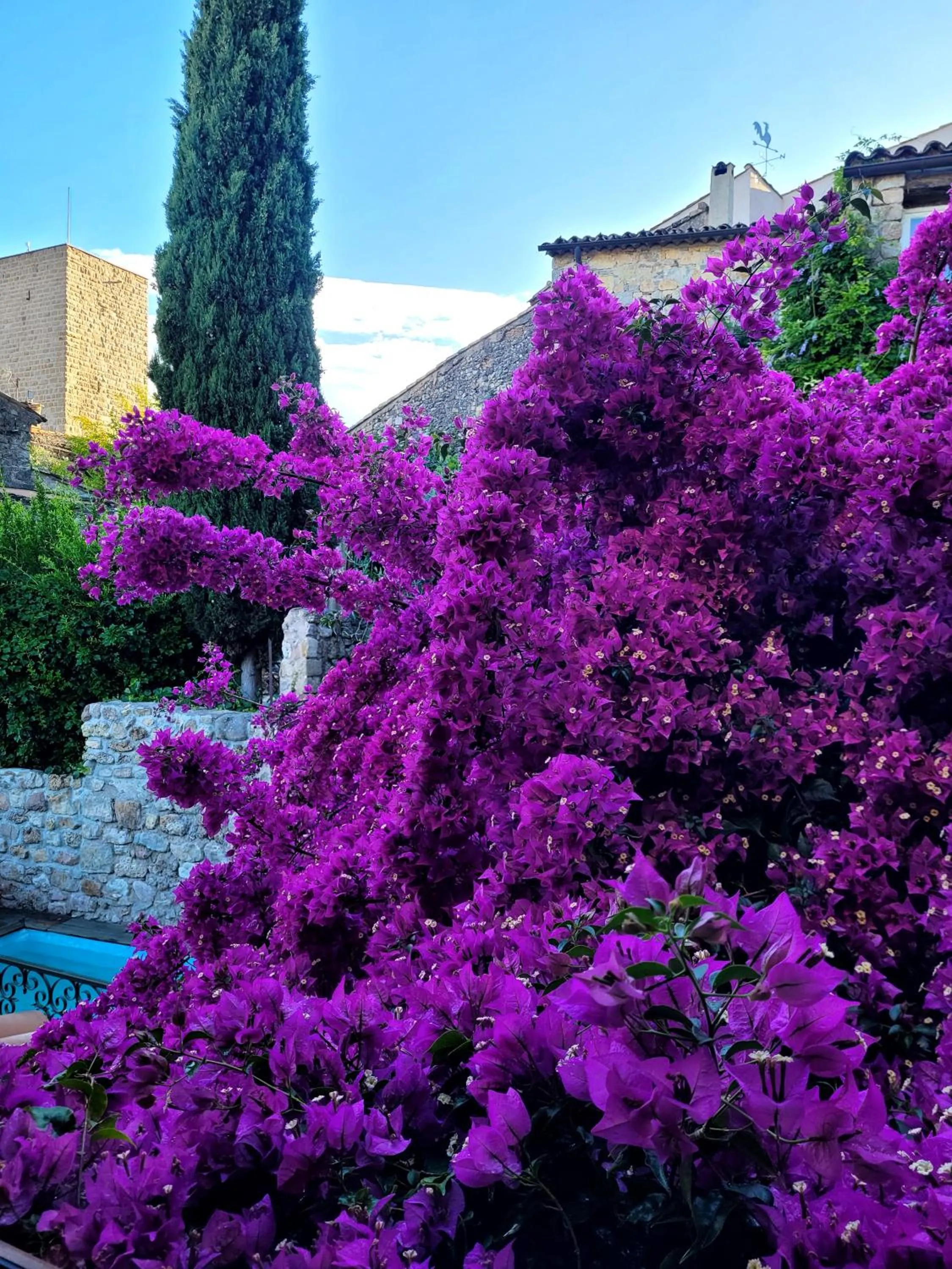 Spring in Villa Arca