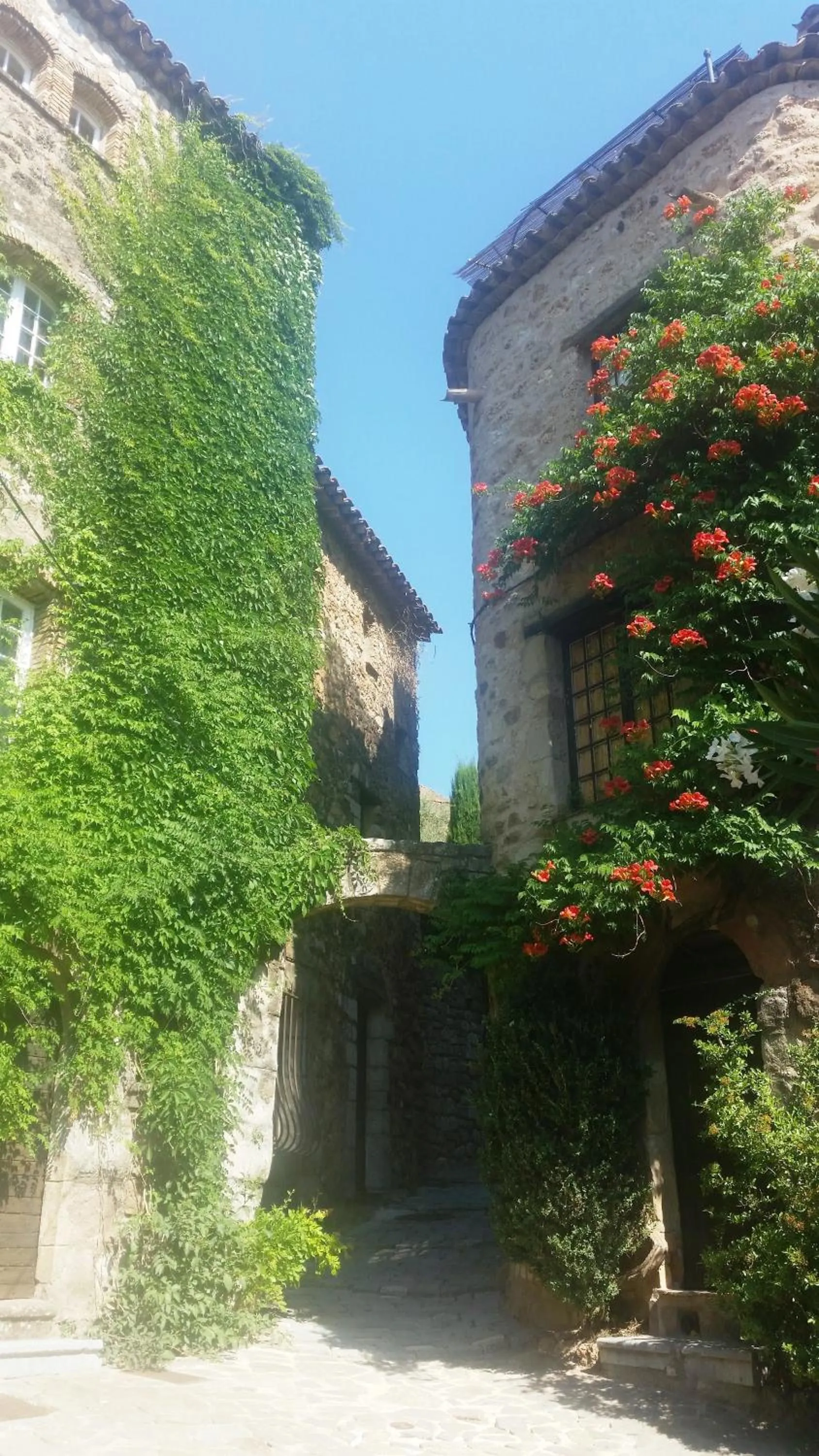 Neighbourhood in Villa Arca