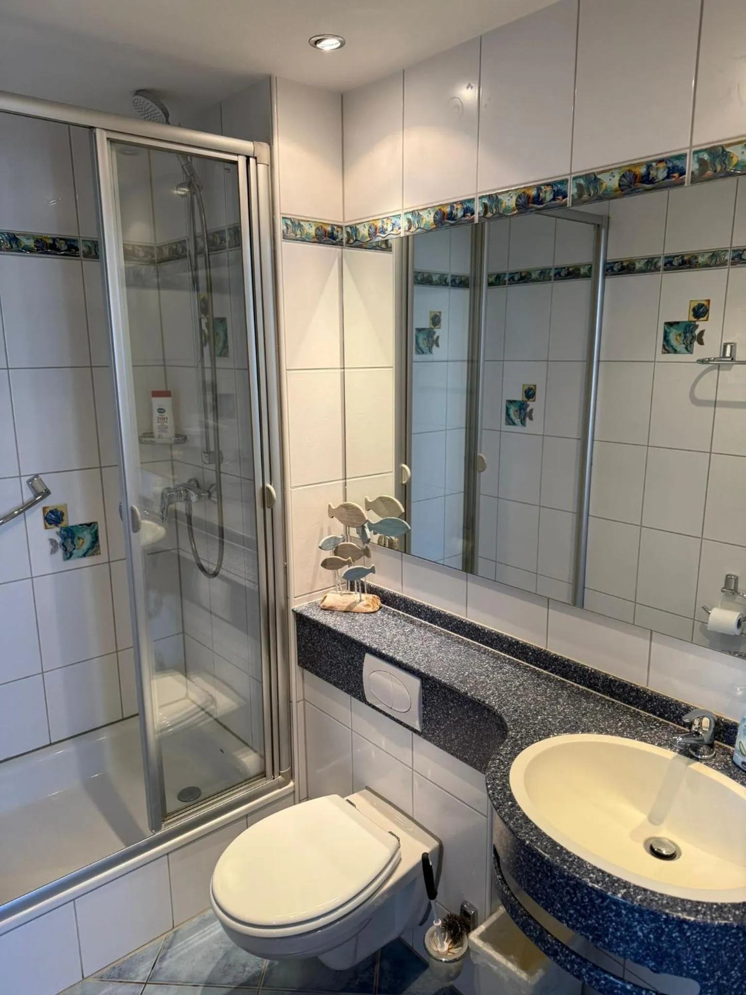 Hotel Schöne Aussicht renoviert