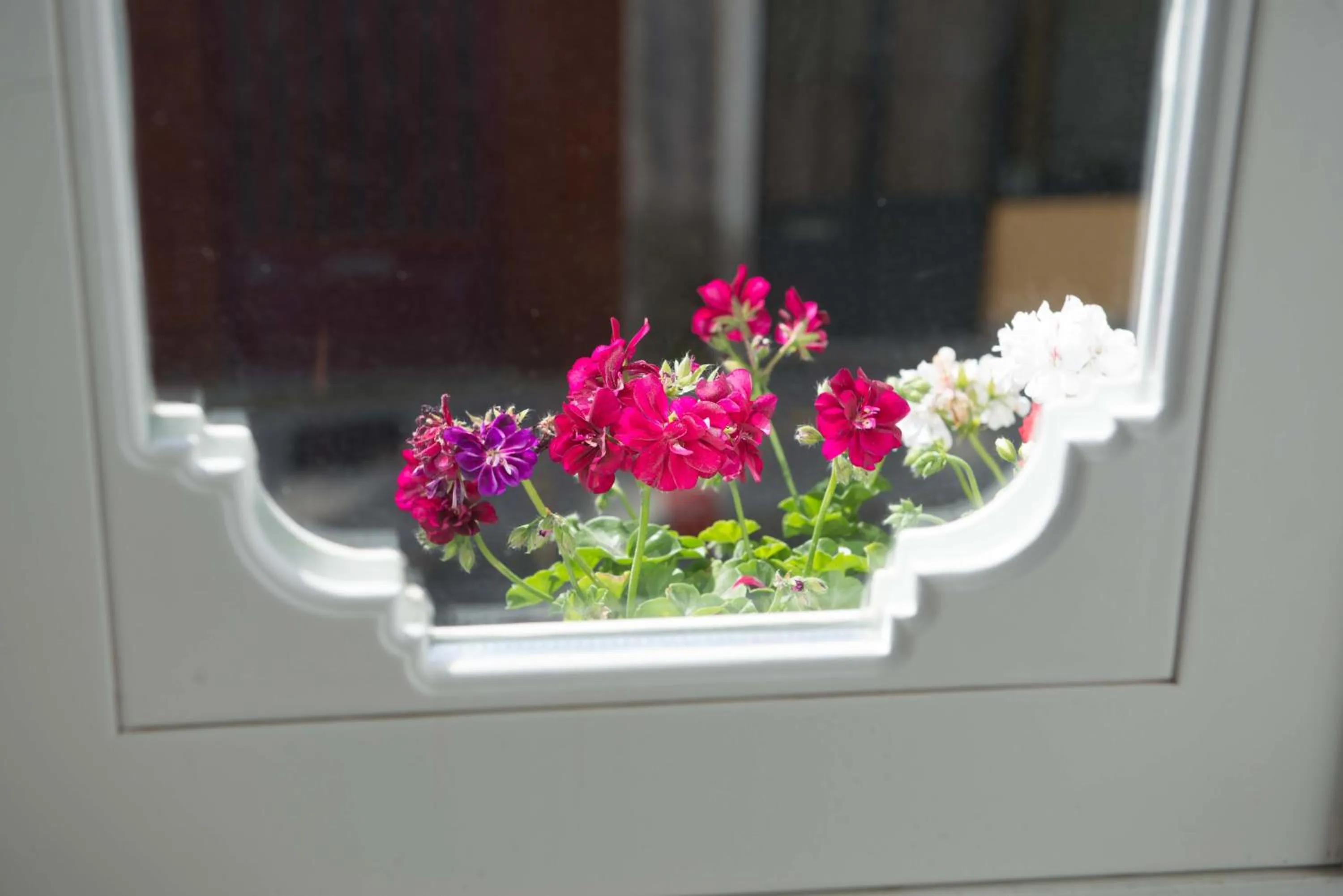 Area and facilities in Porto Vintage Guesthouse