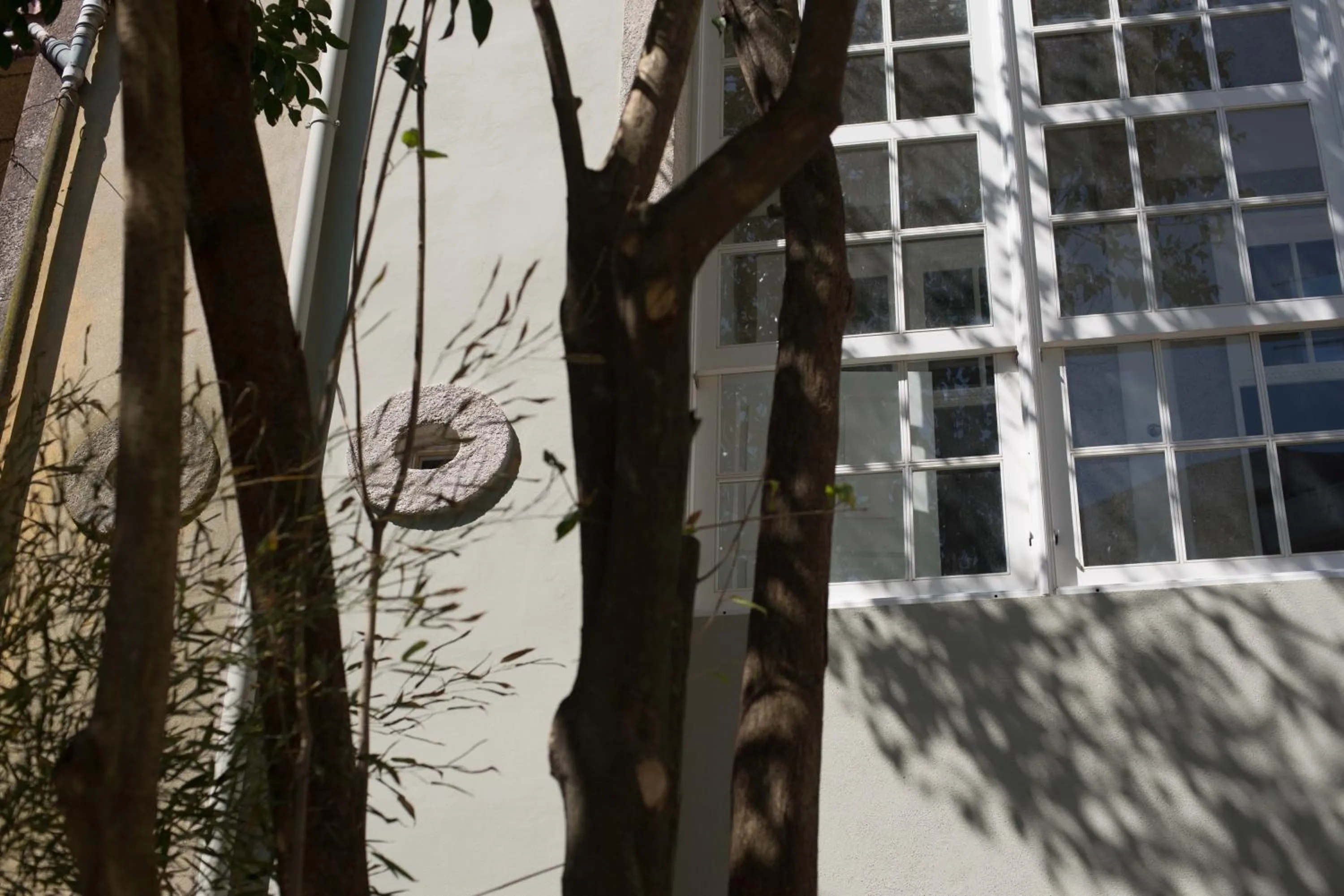 Facade/entrance in Porto Vintage Guesthouse
