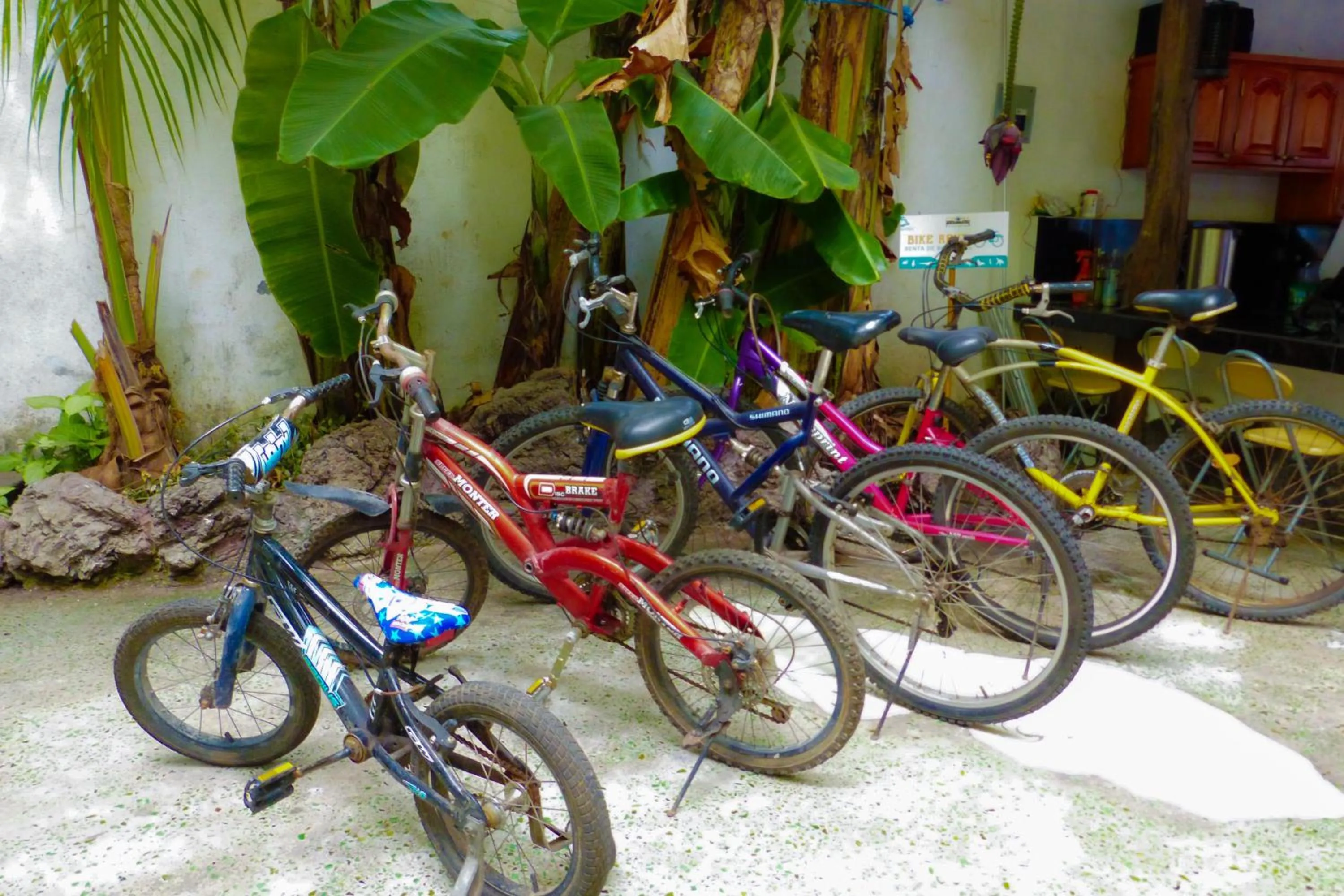 Other in Hotel Coloma Galapagos