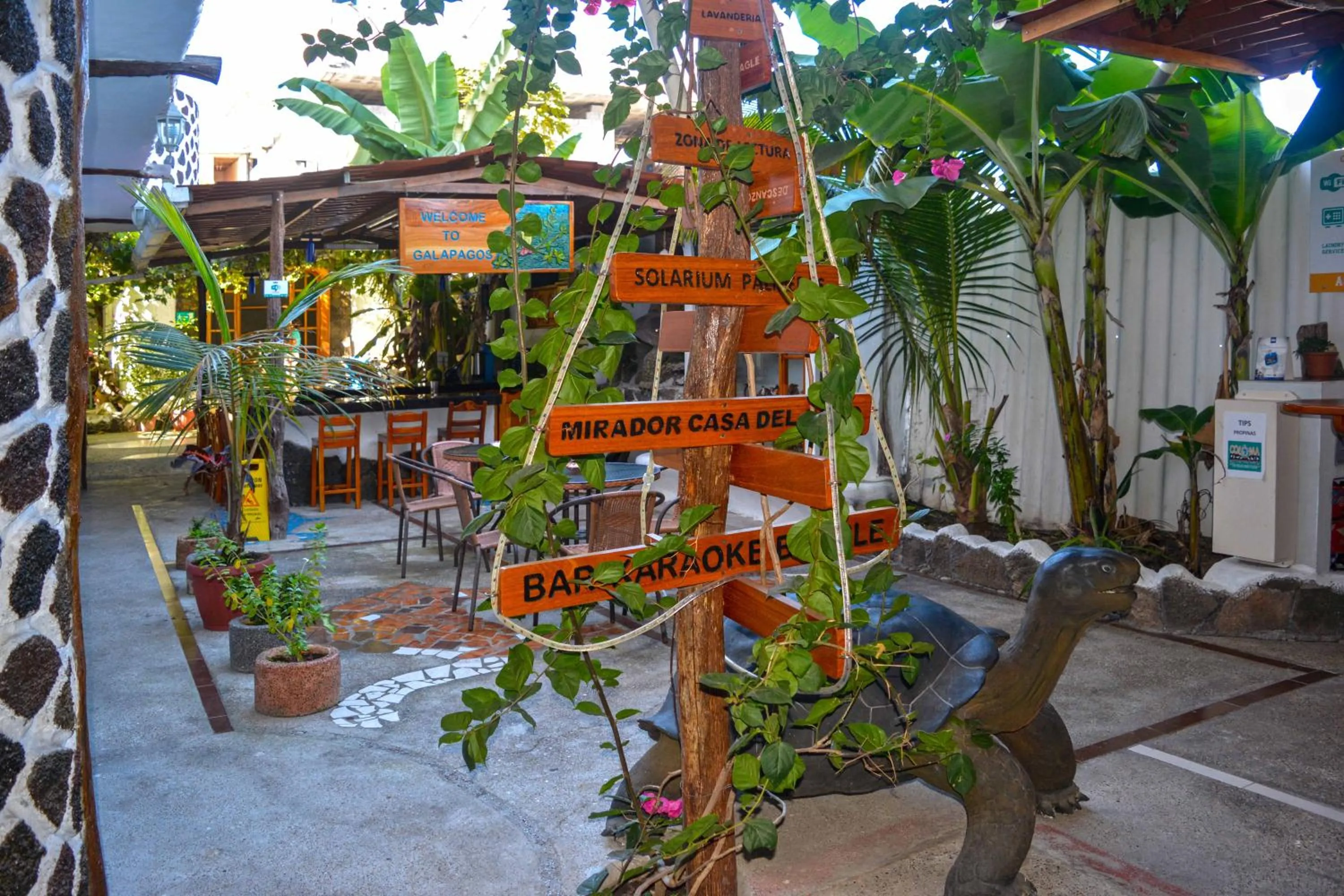 Patio in Hotel Coloma Galapagos