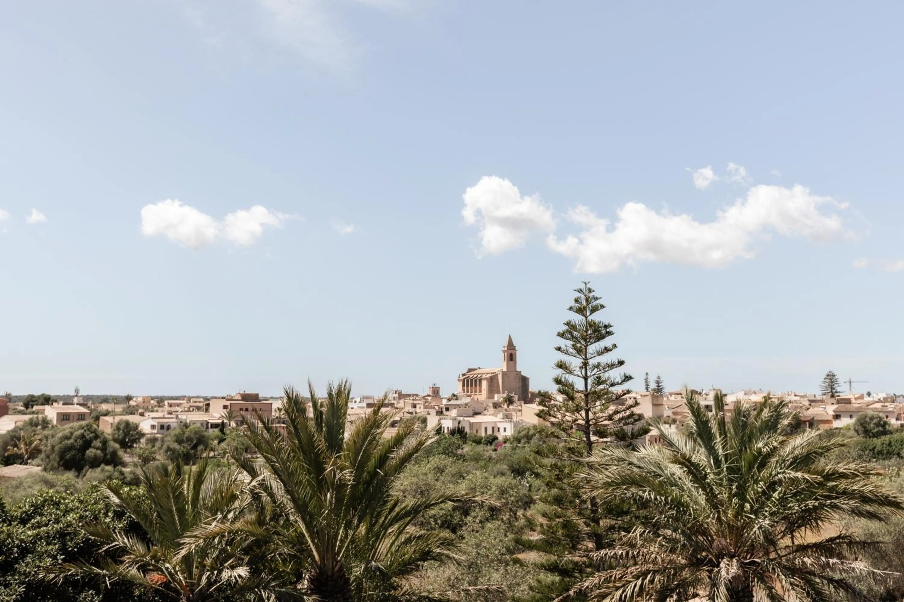 Natural landscape in Cal Reiet Holistic Retreat