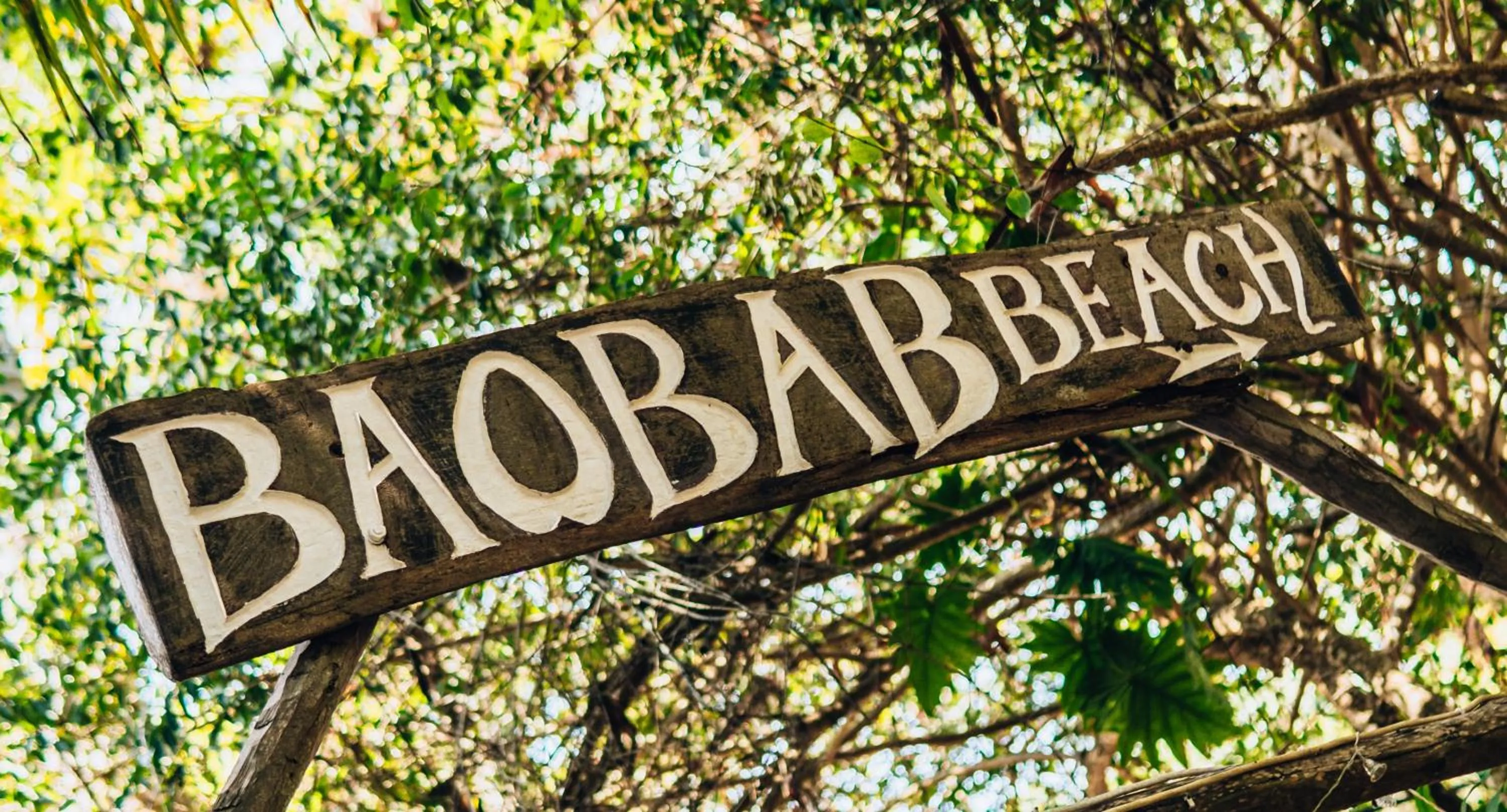 Baobab Beach Vilanculos