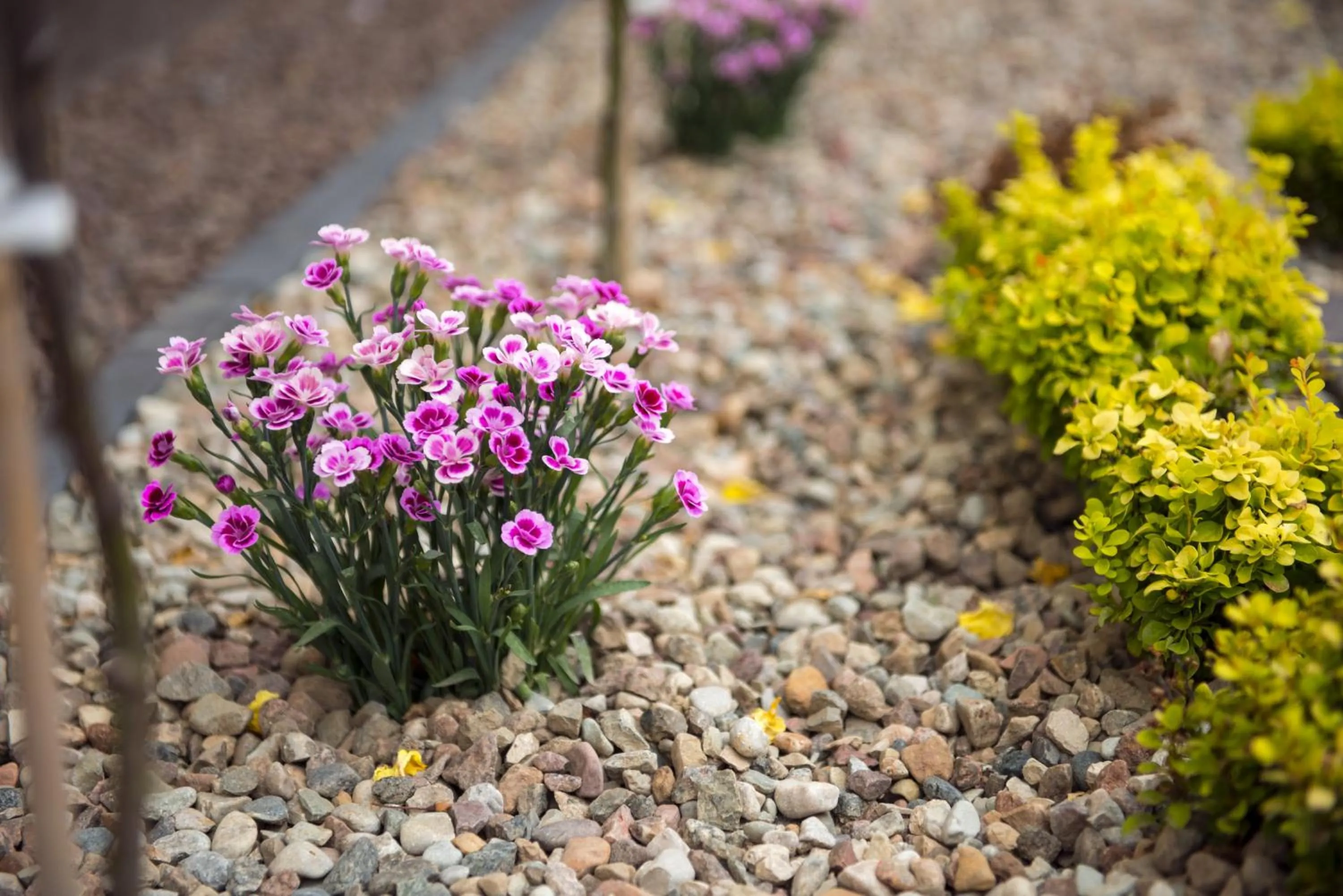 Patio in Villa Andalucia SPA & Leisure