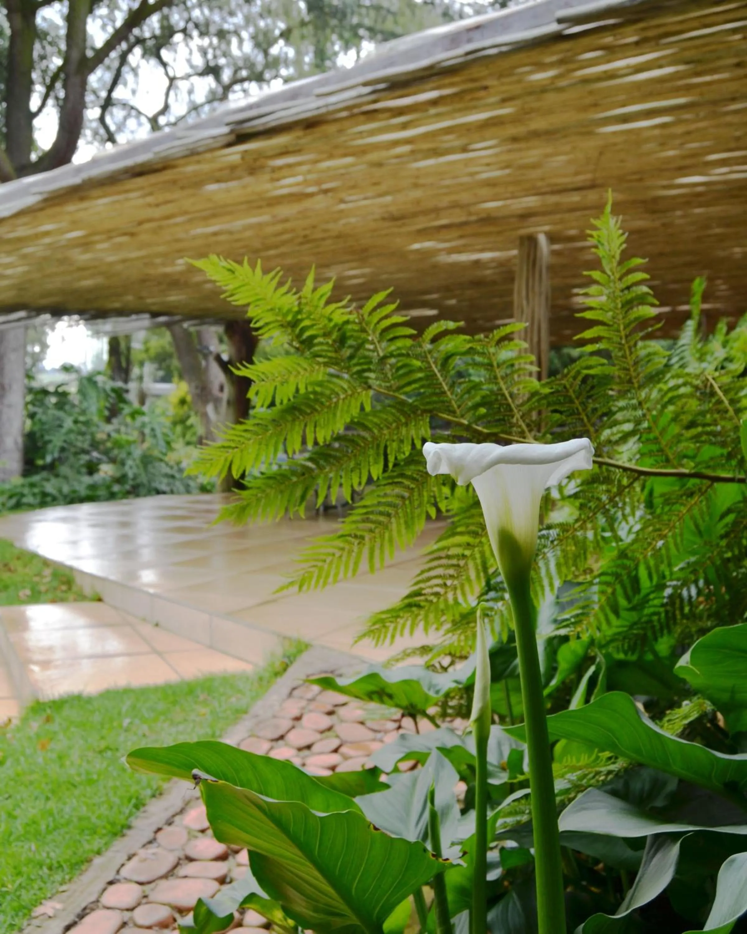 Highveld Splendour Boutique Bed and Breakfast