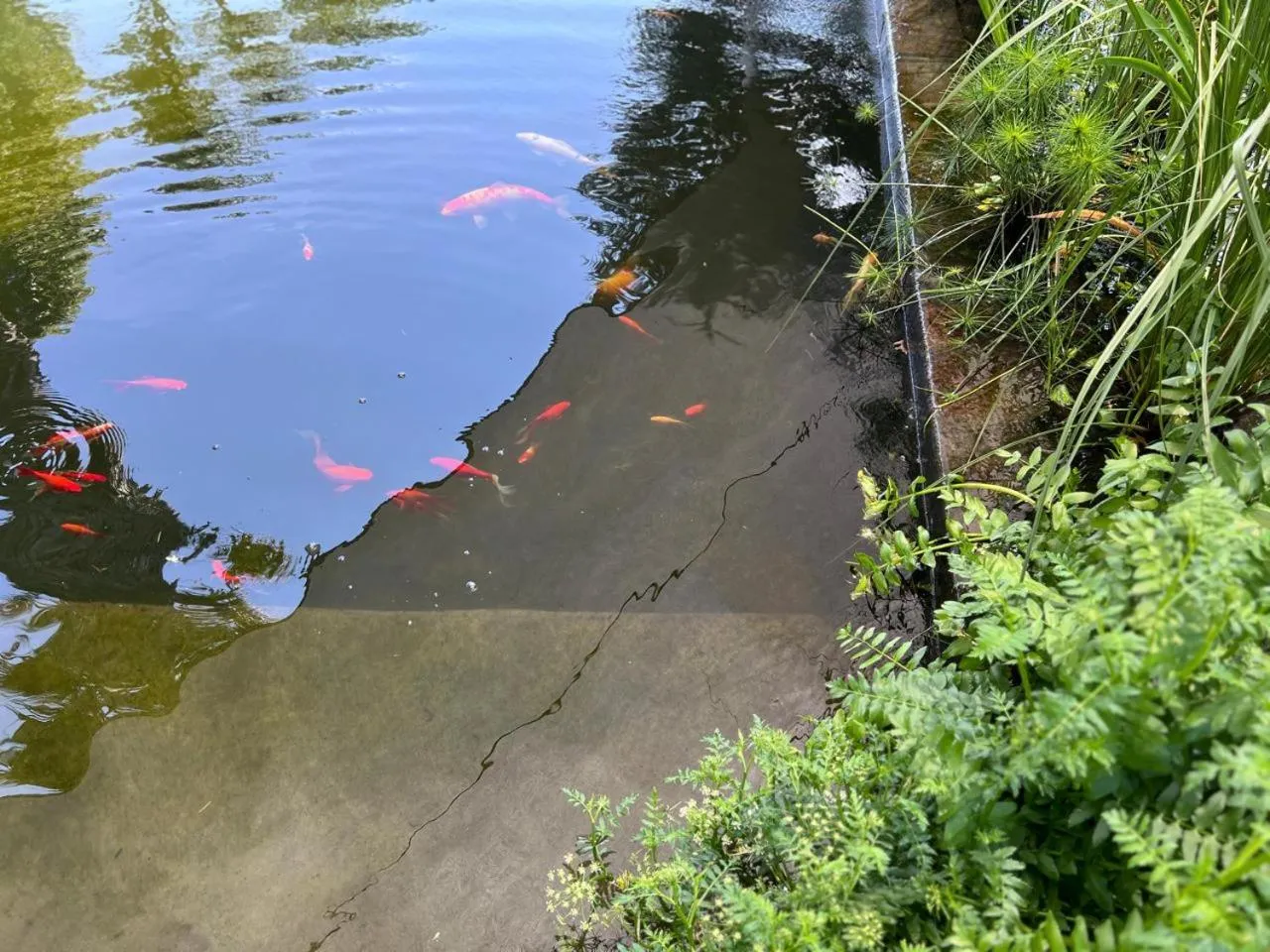 Highveld Splendour Boutique Bed and Breakfast