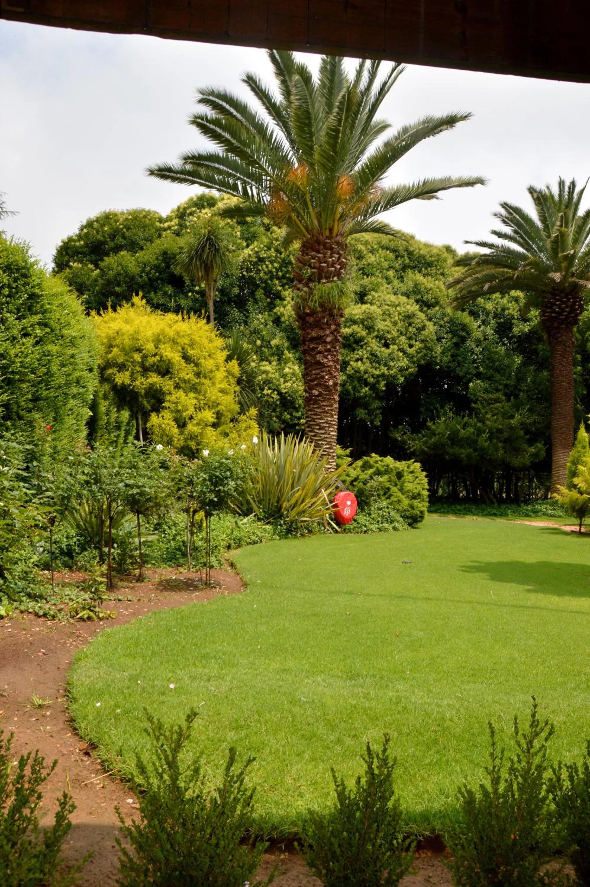 Garden in Highveld Splendour Boutique Bed and Breakfast