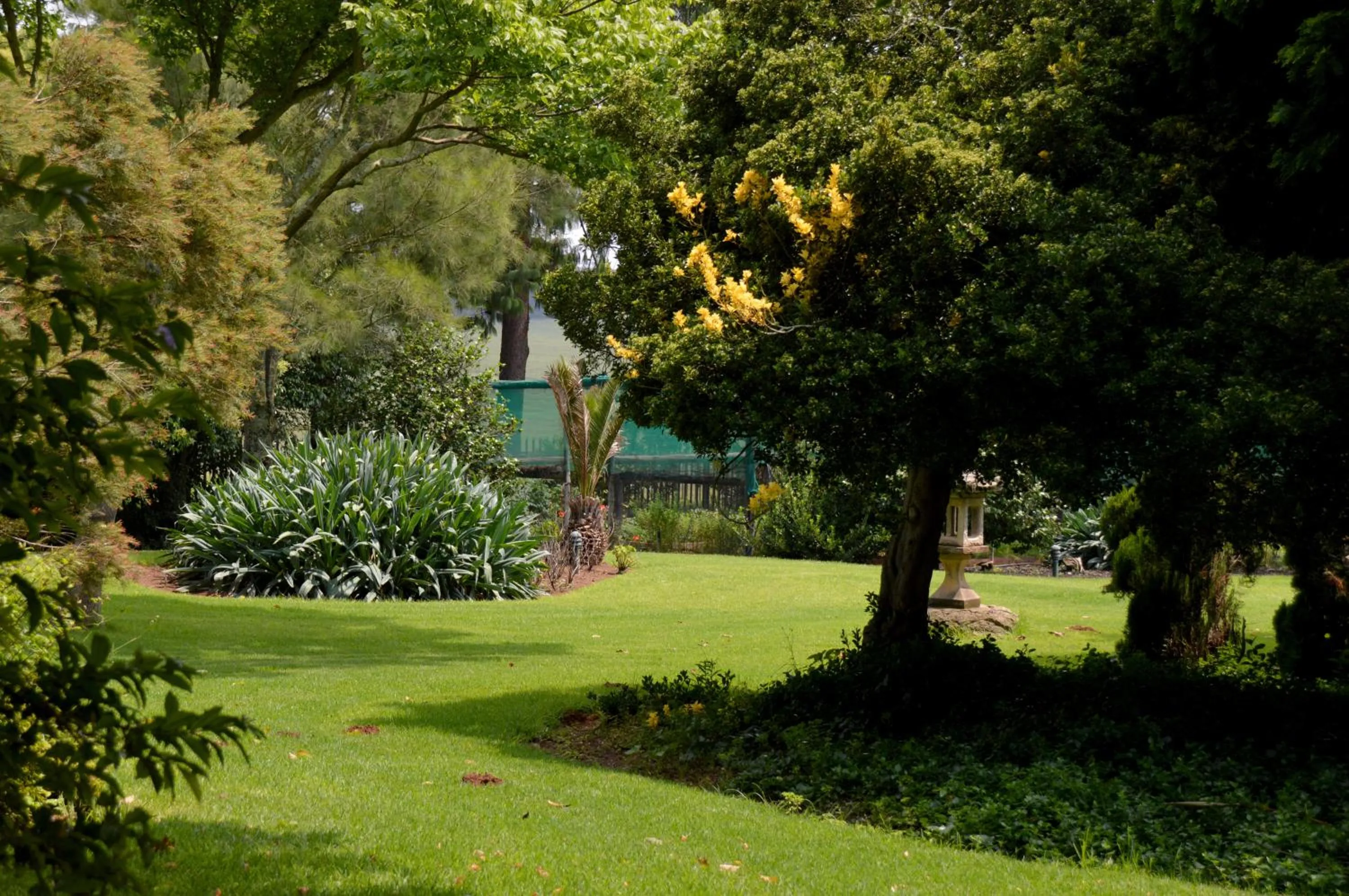 Natural landscape in Highveld Splendour Boutique Bed and Breakfast