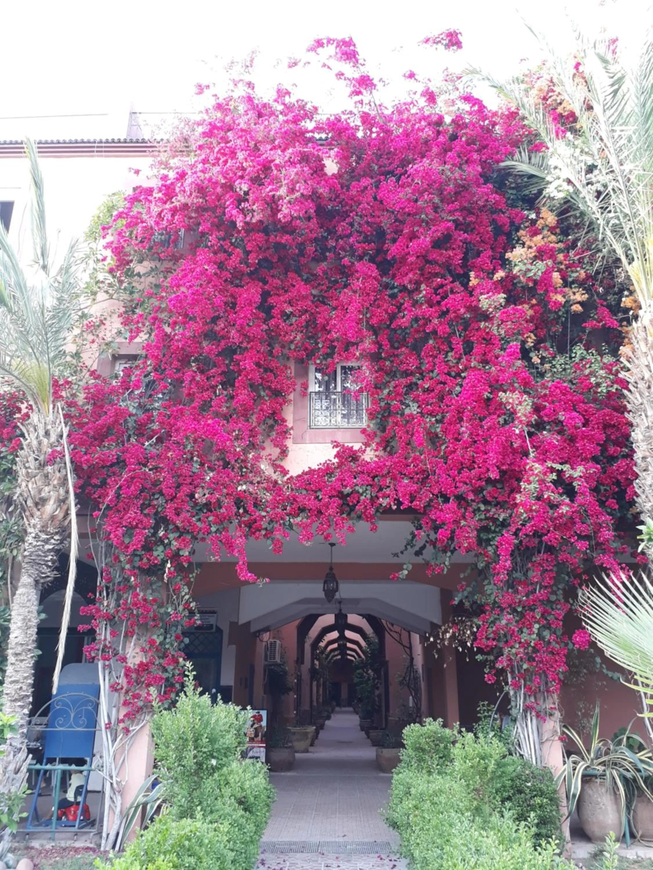 Property building in Riad with 3 Swimming Pools