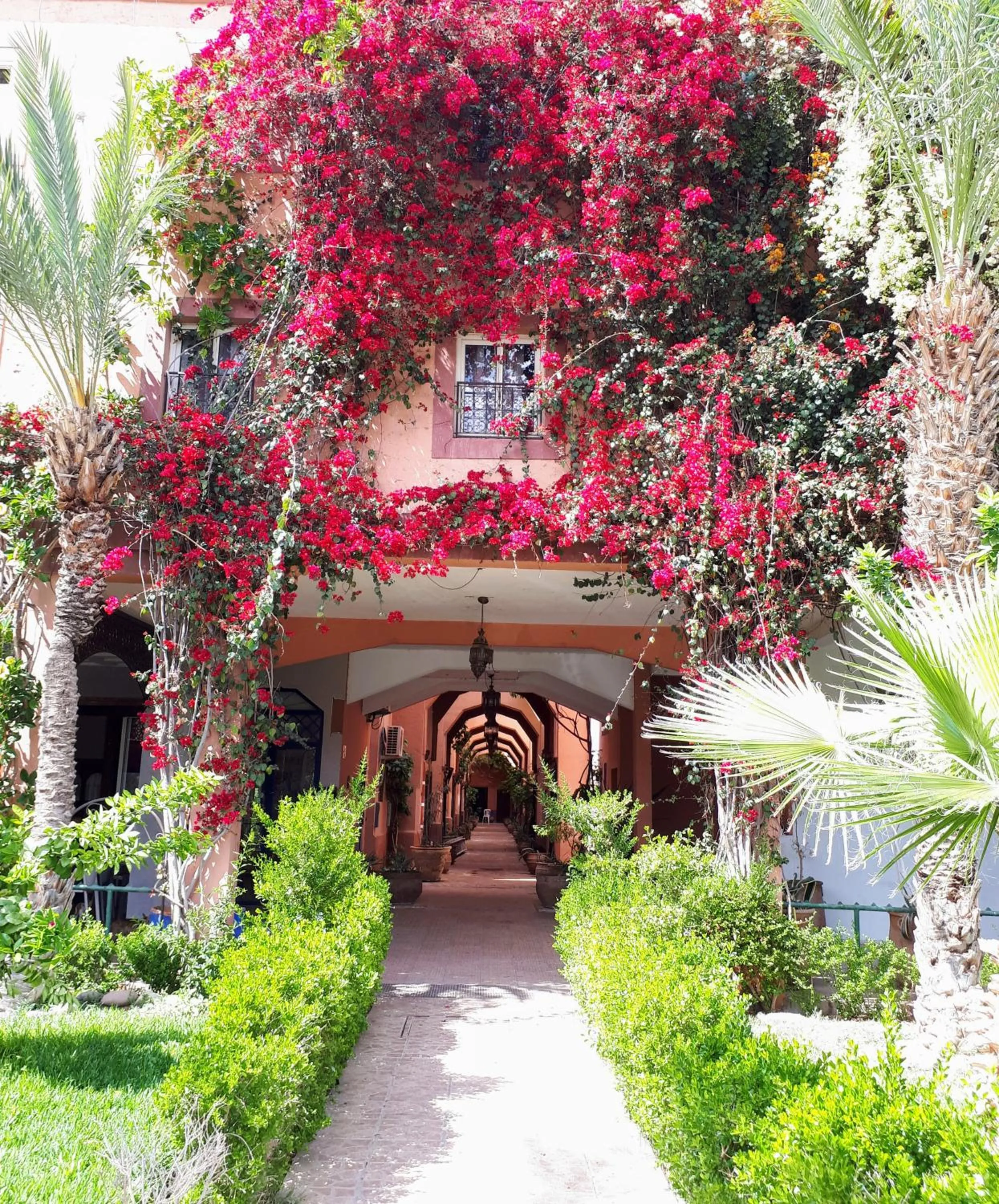 Garden view in Riad with 3 Swimming Pools