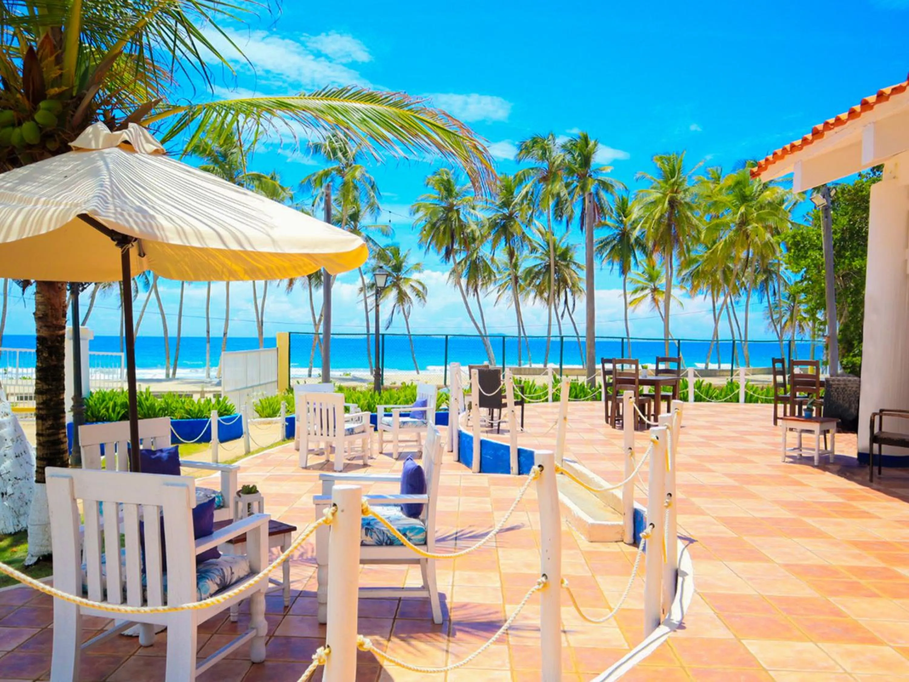 Restaurant/places to eat in Hesperia Playa el Agua