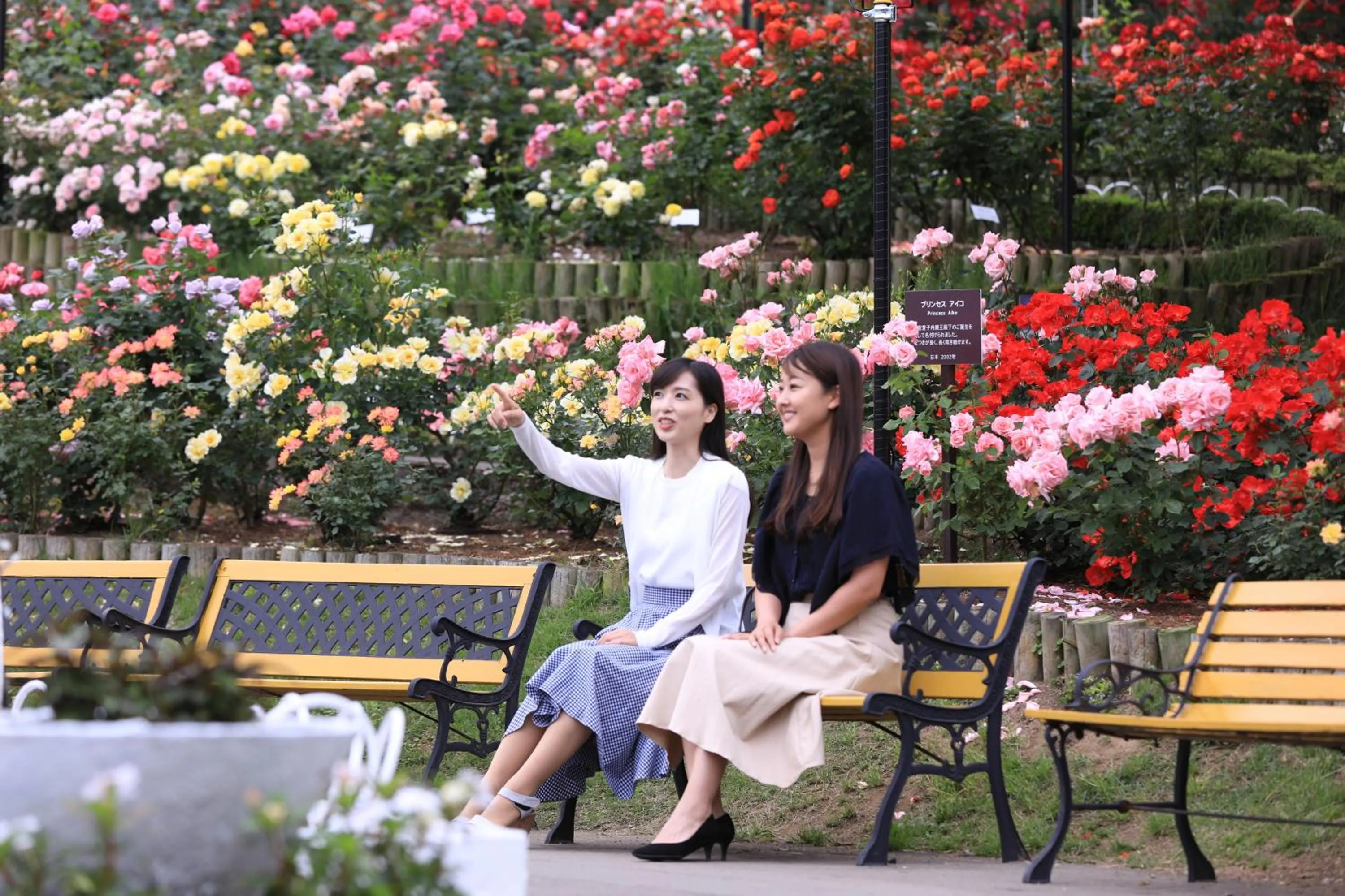 Nearby landmark in Hotel Koyokan