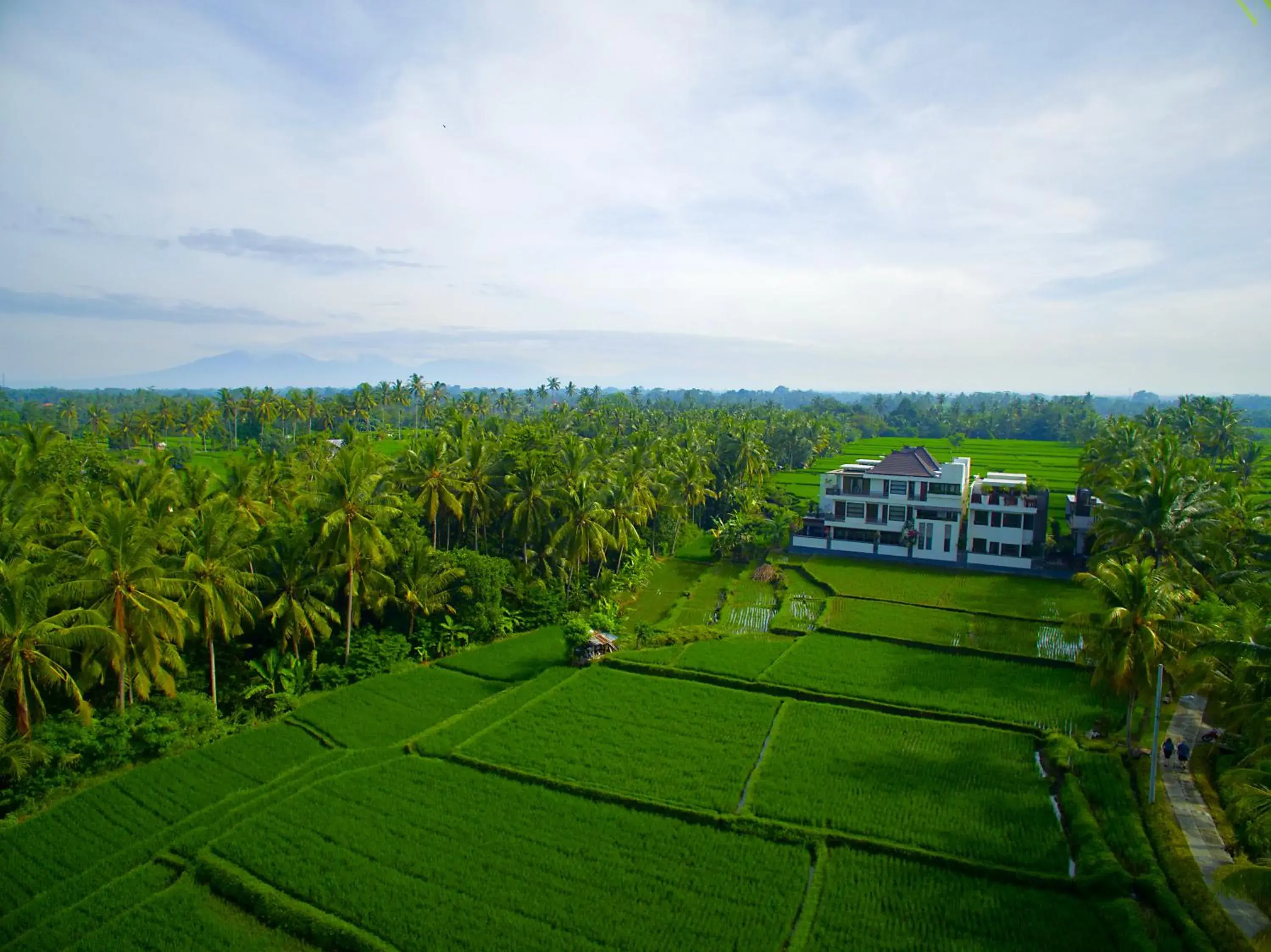 The LUXE Ubud - a Boutique Hotel The LUXE Ubud - a Boutique Hotel