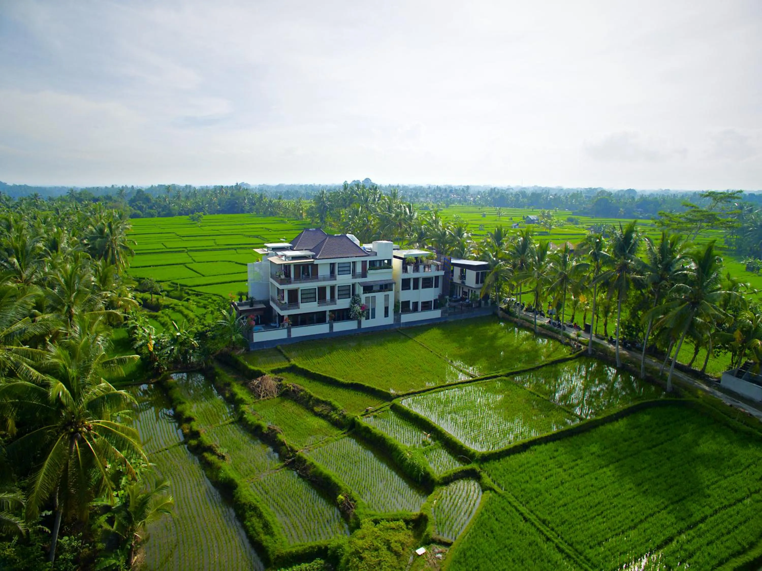 Property building in The LUXE Ubud - a Boutique Hotel