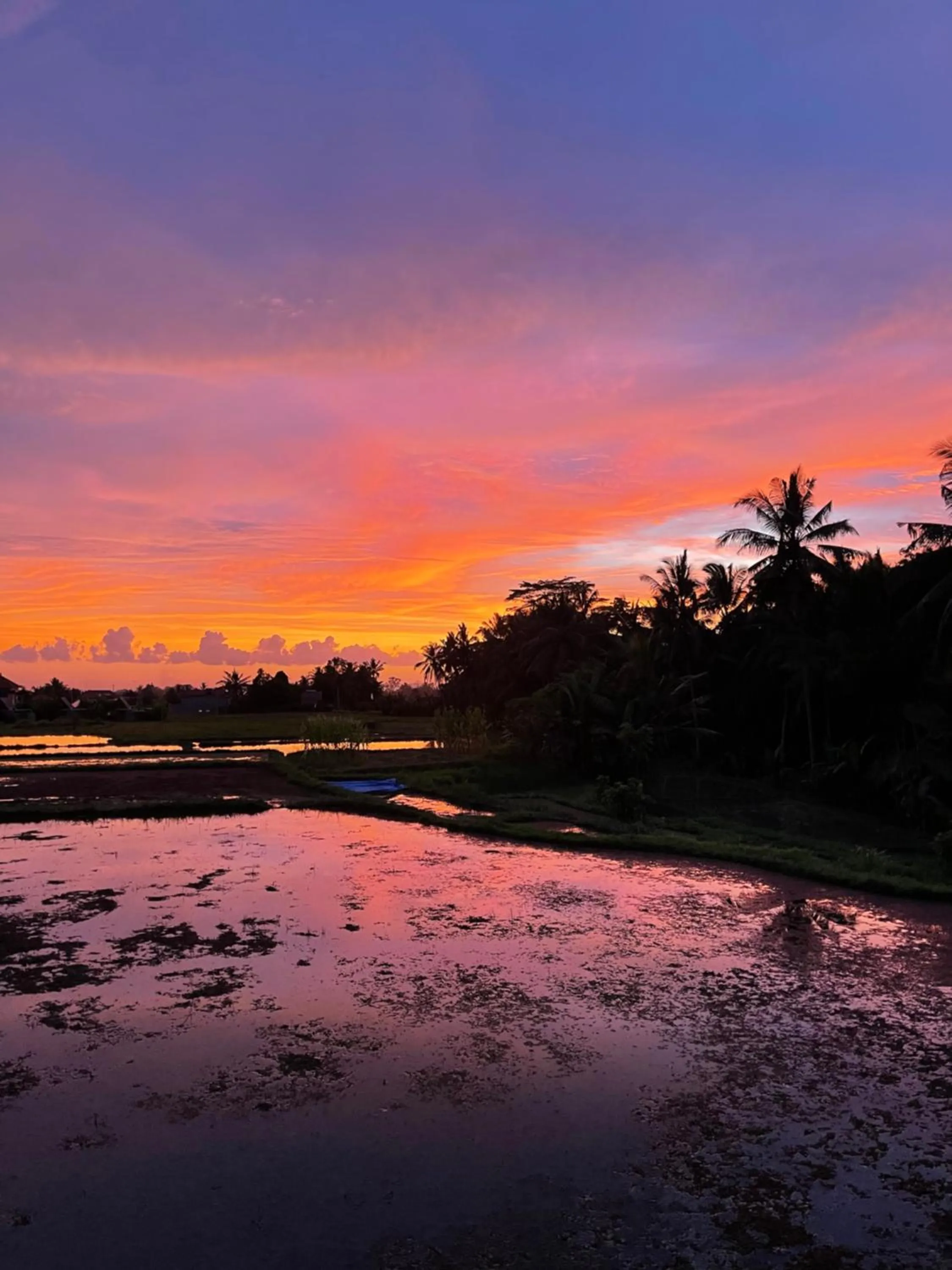 View (from property/room) in The LUXE Ubud - a Boutique Hotel